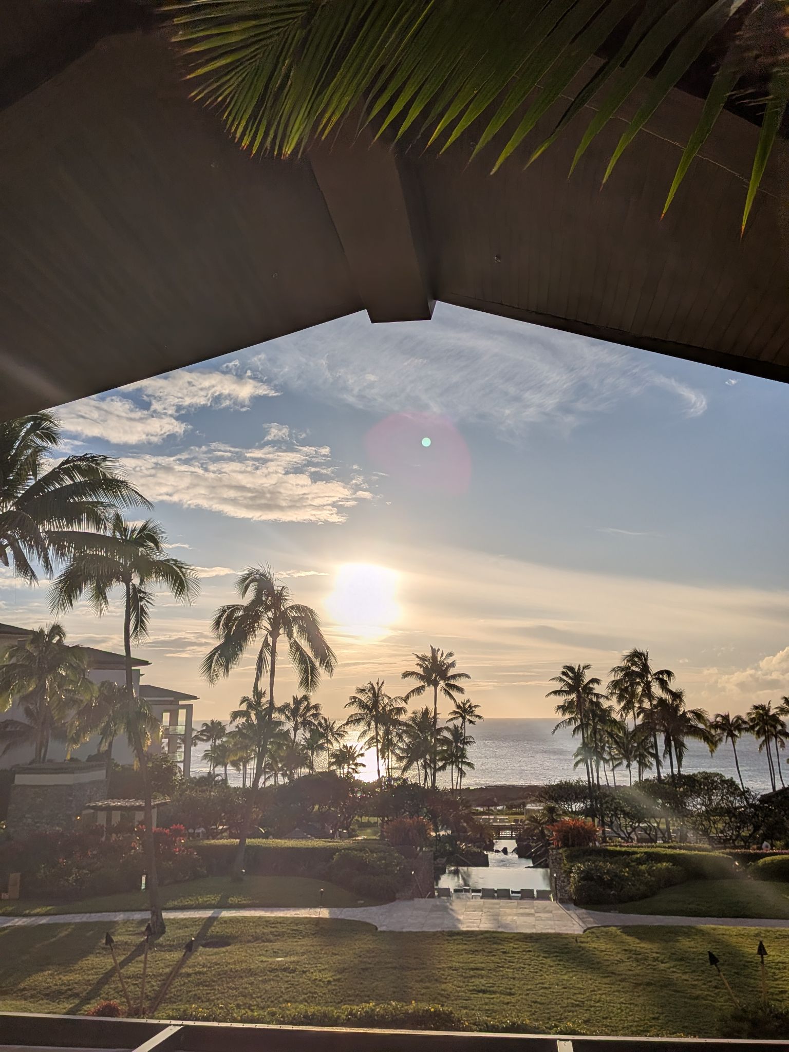 PXL 20260301 035627638