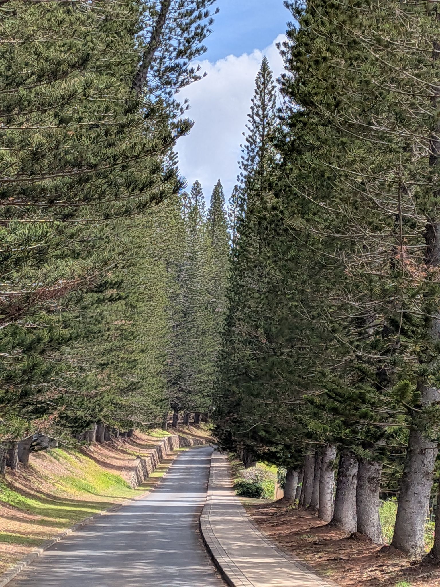 PXL 20260302 213044926