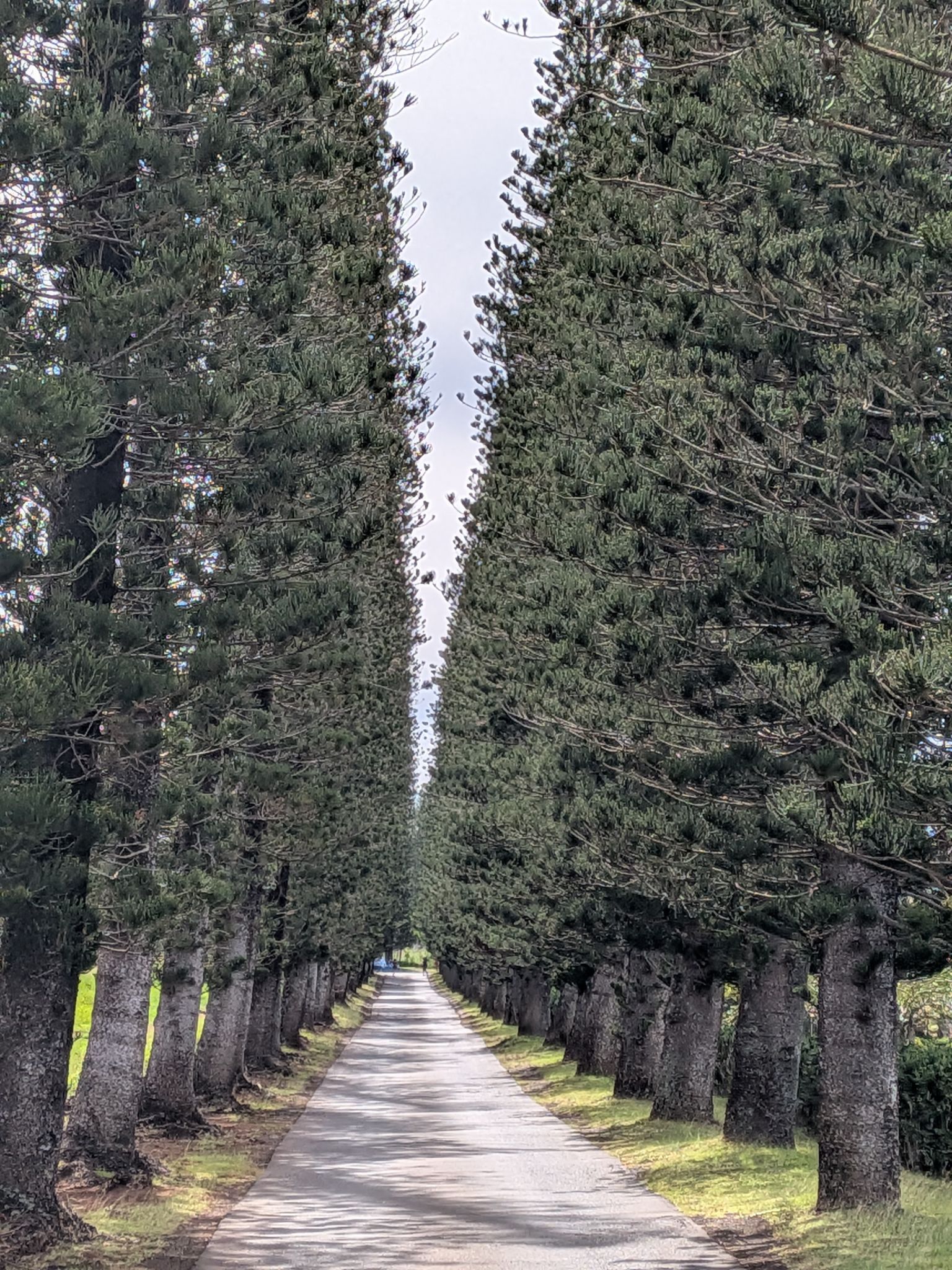 PXL 20260302 213249784