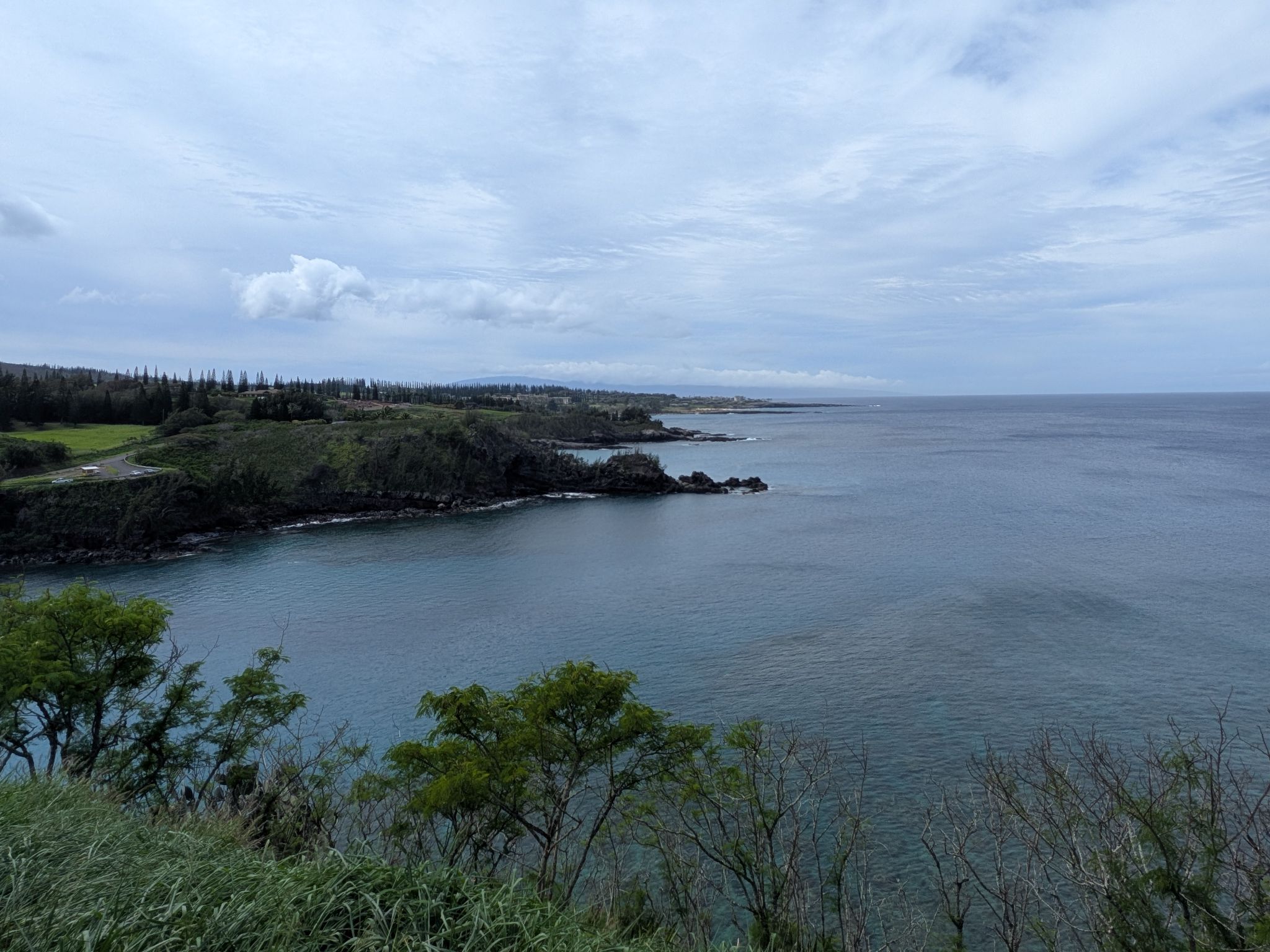 PXL 20260302 214351278