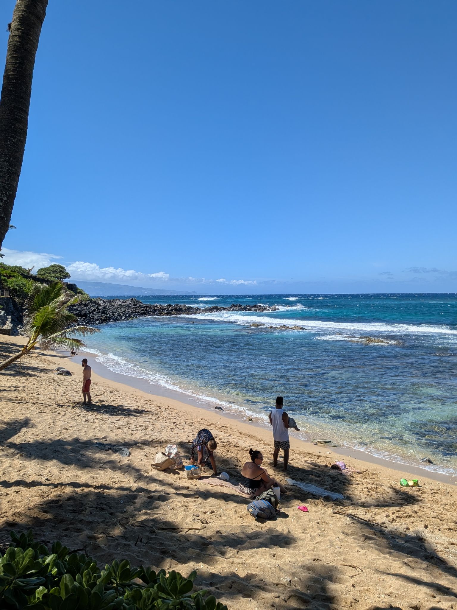 PXL 20260303 233729563.MP