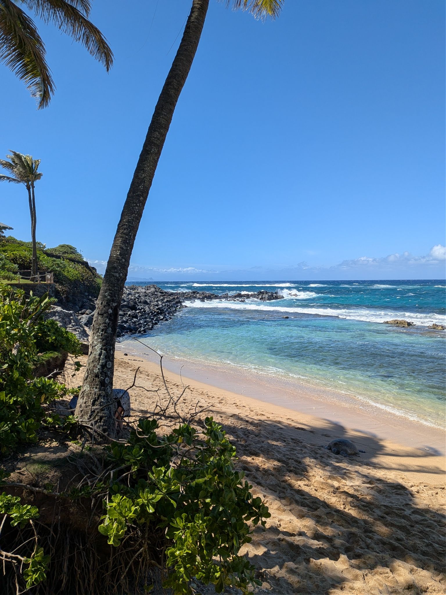 PXL 20260303 235023929.PANO