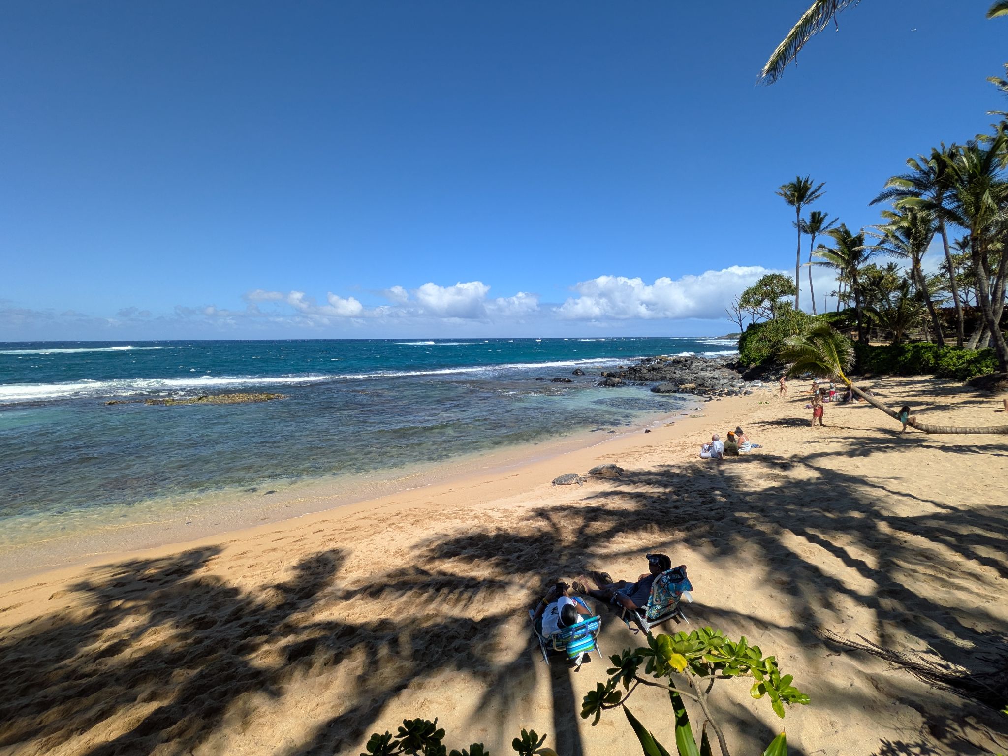 PXL 20260303 235101667