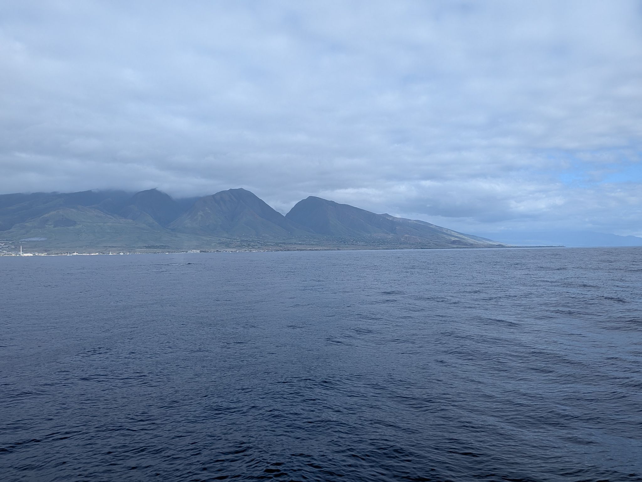 PXL 20260305 020653465.MP