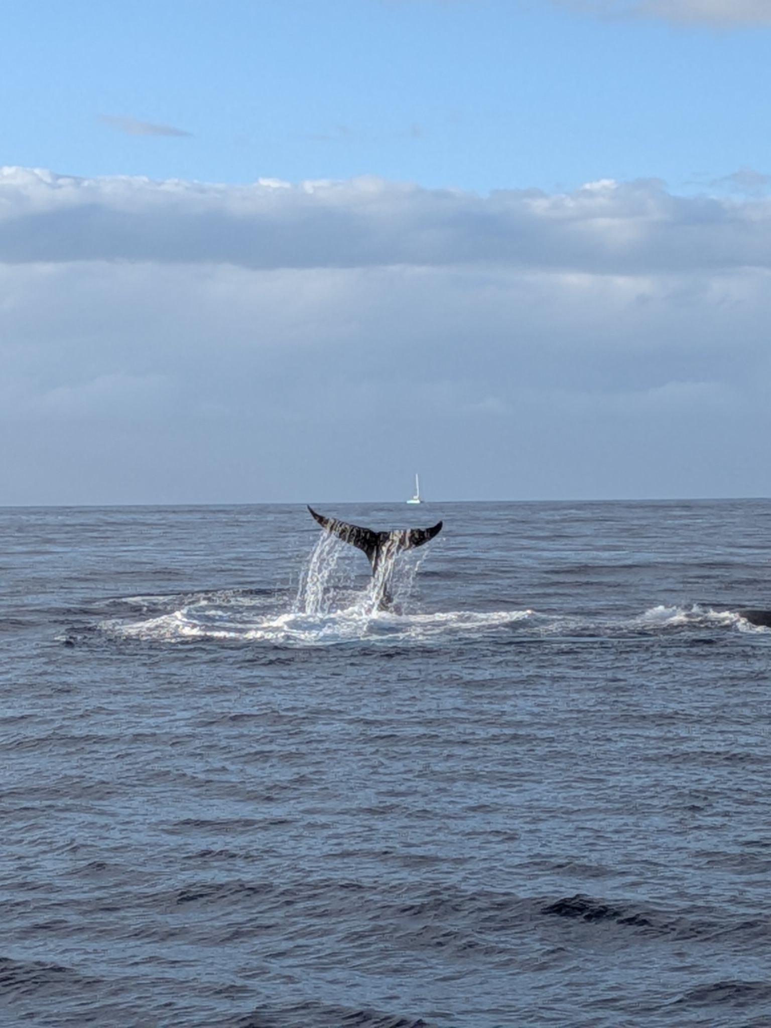 PXL 20260305 032809605