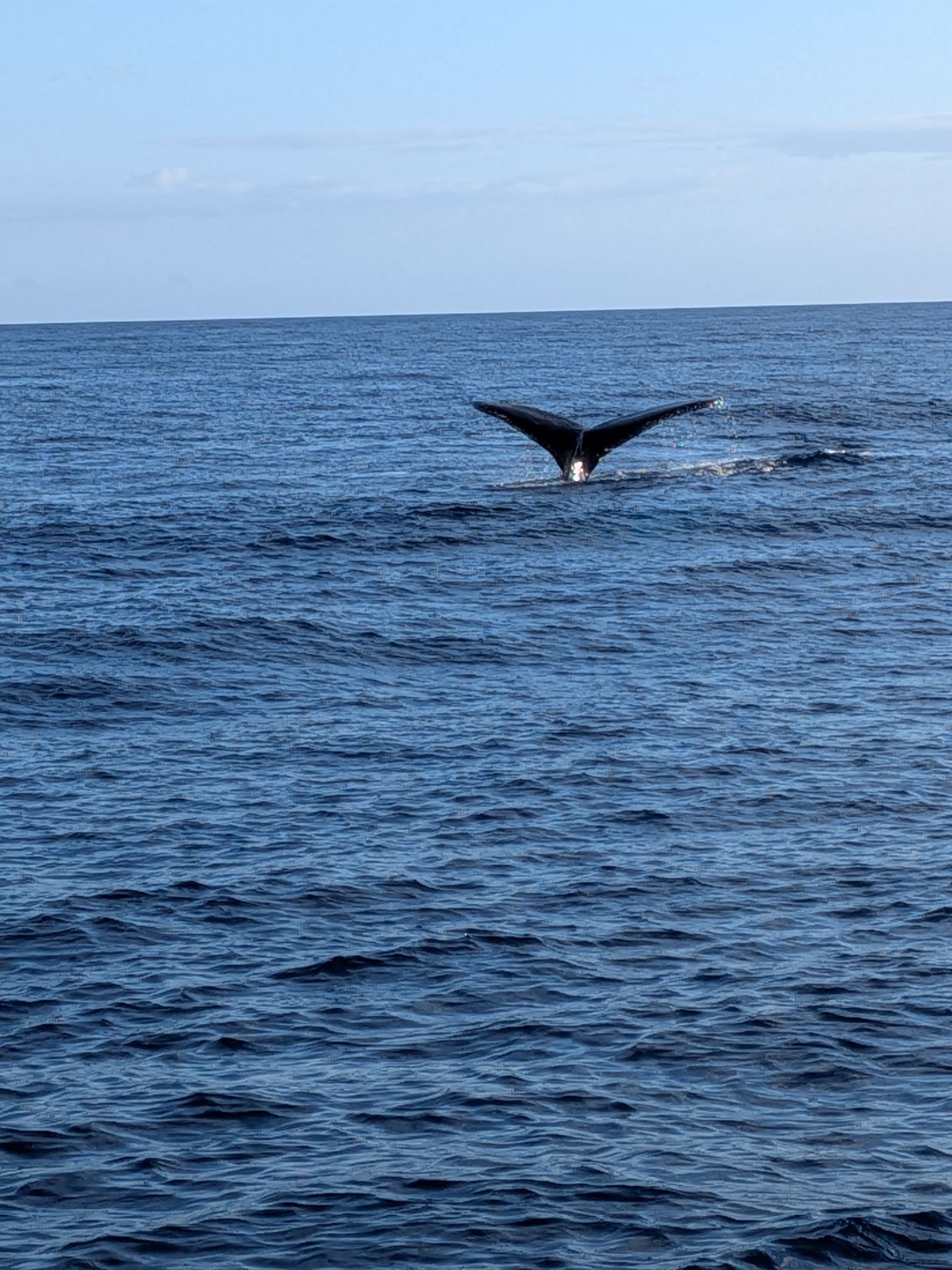 PXL 20260305 033427220