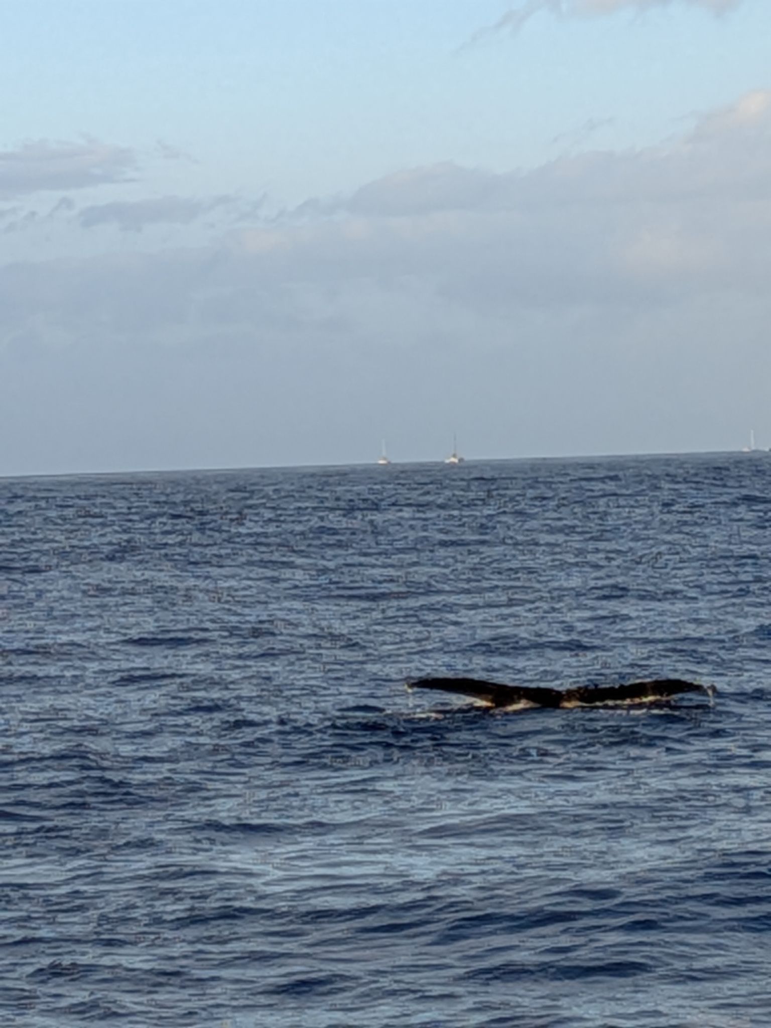 PXL 20260305 035844345