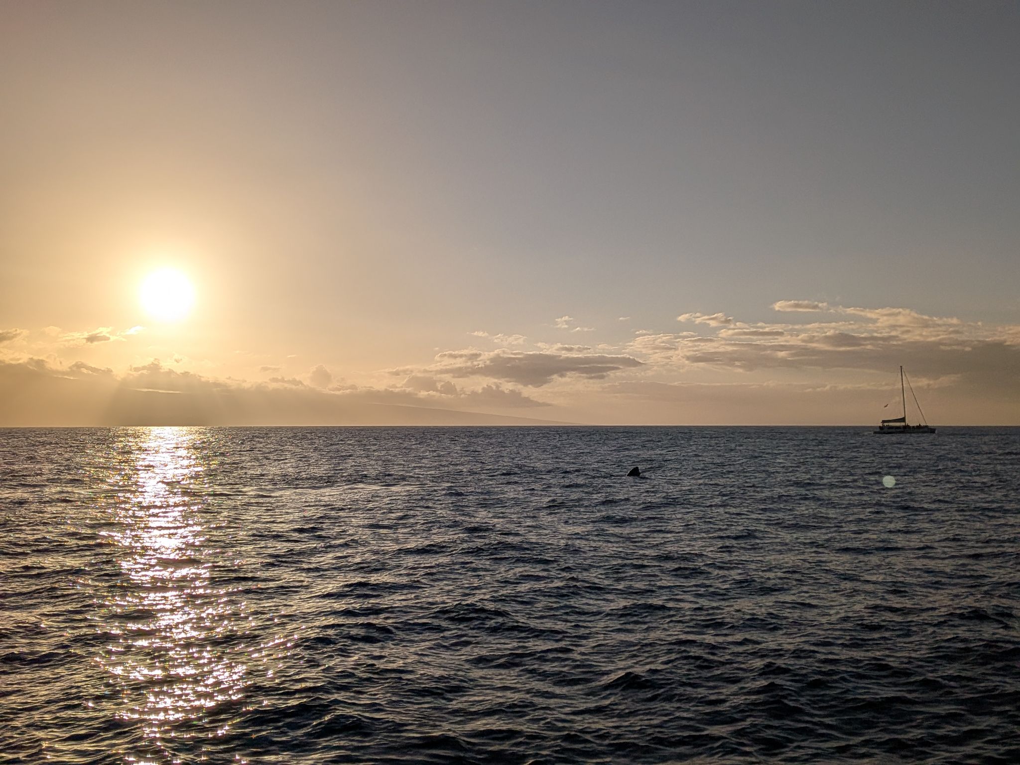 PXL 20260305 040353955.MP