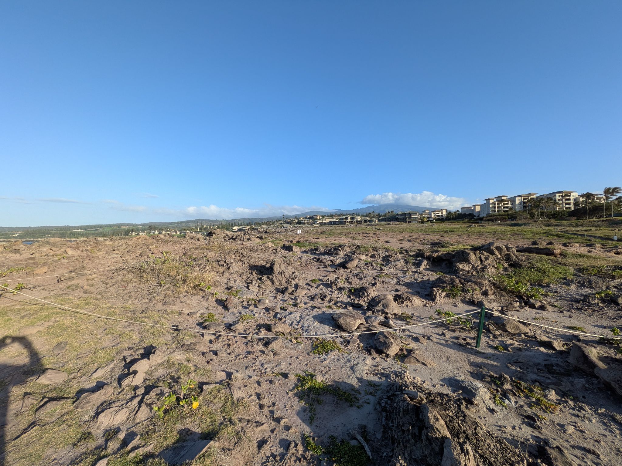 PXL 20260306 032622922