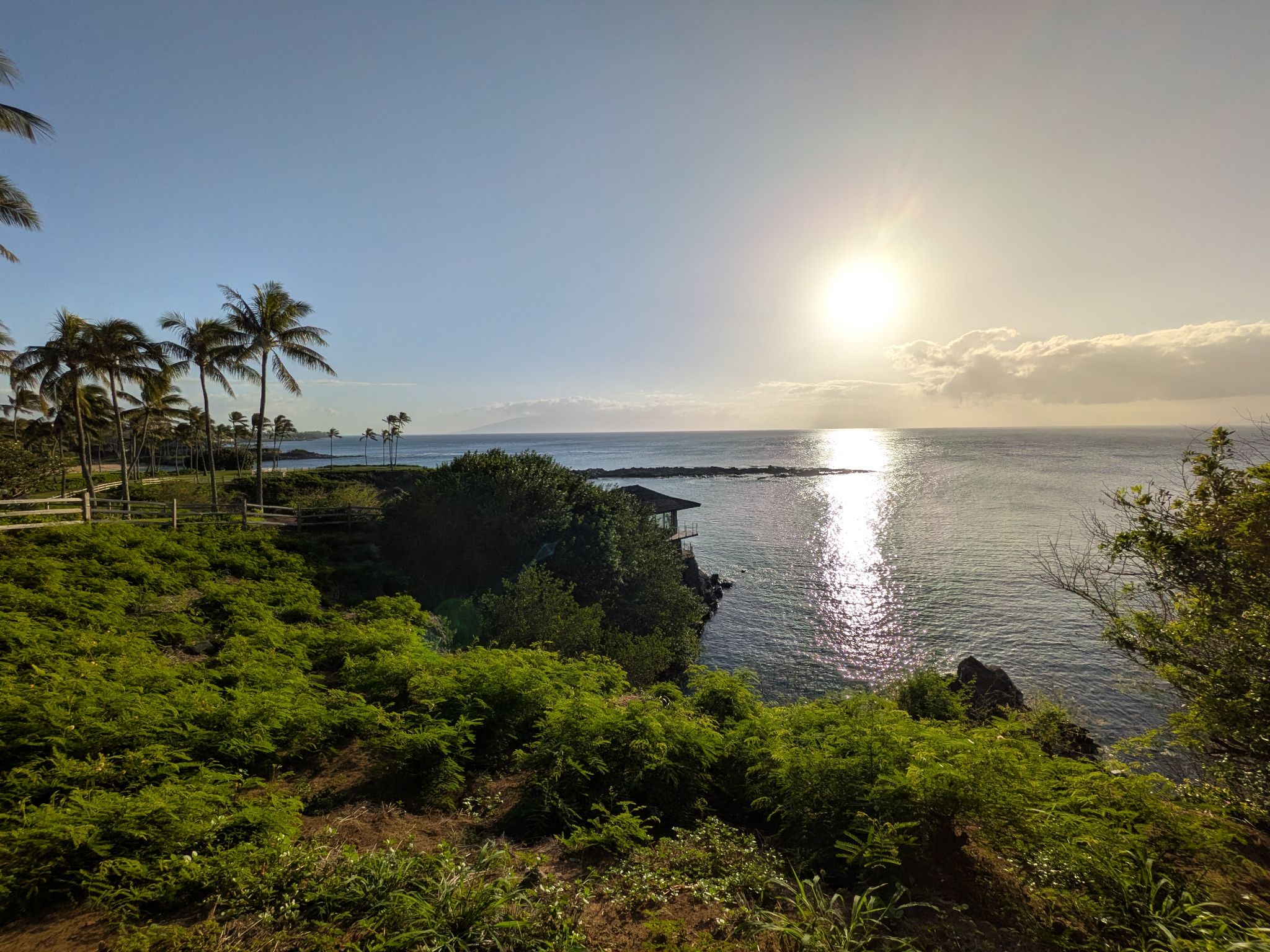 PXL 20260306 033300573