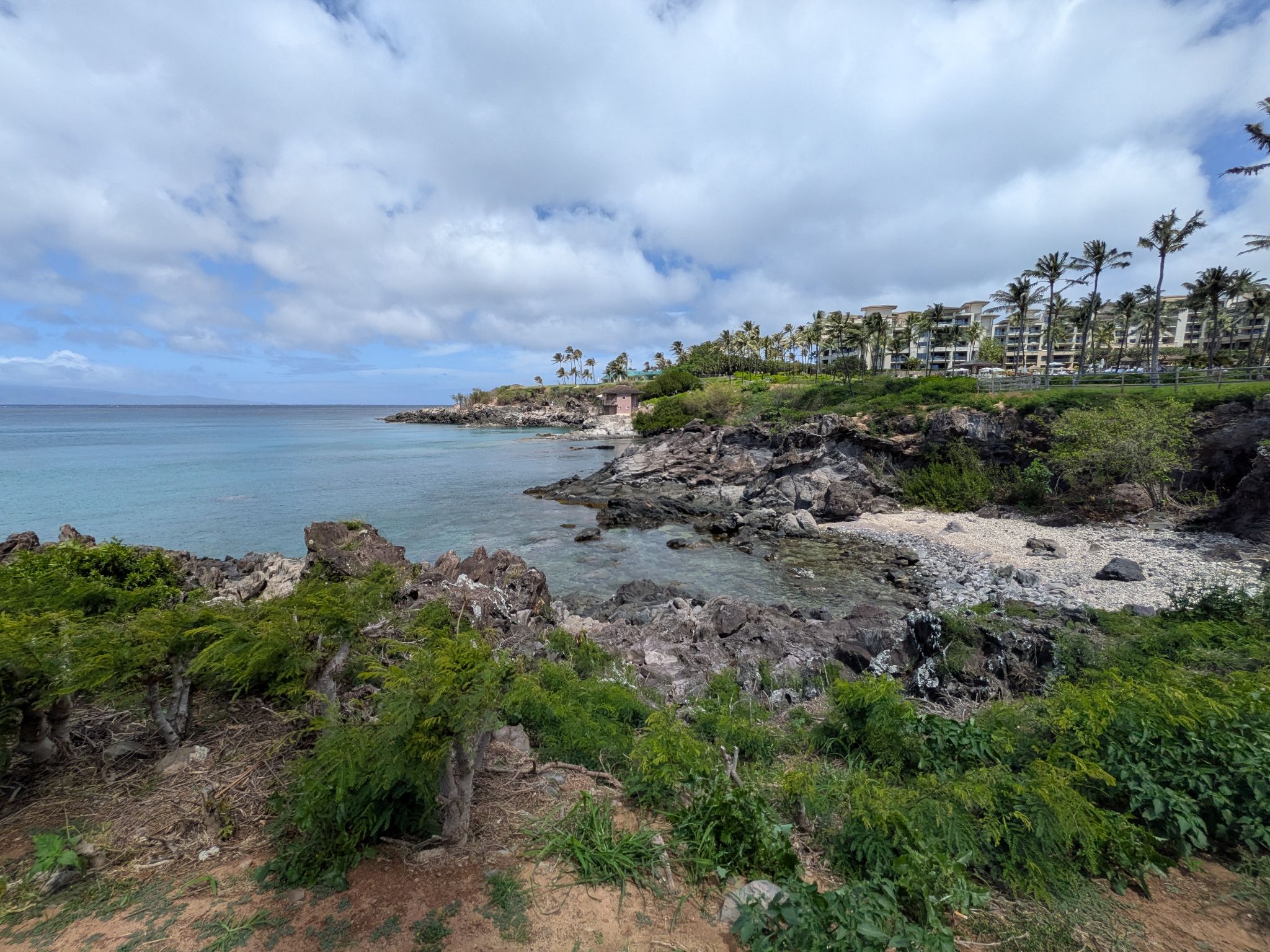 PXL 20260307 223325359