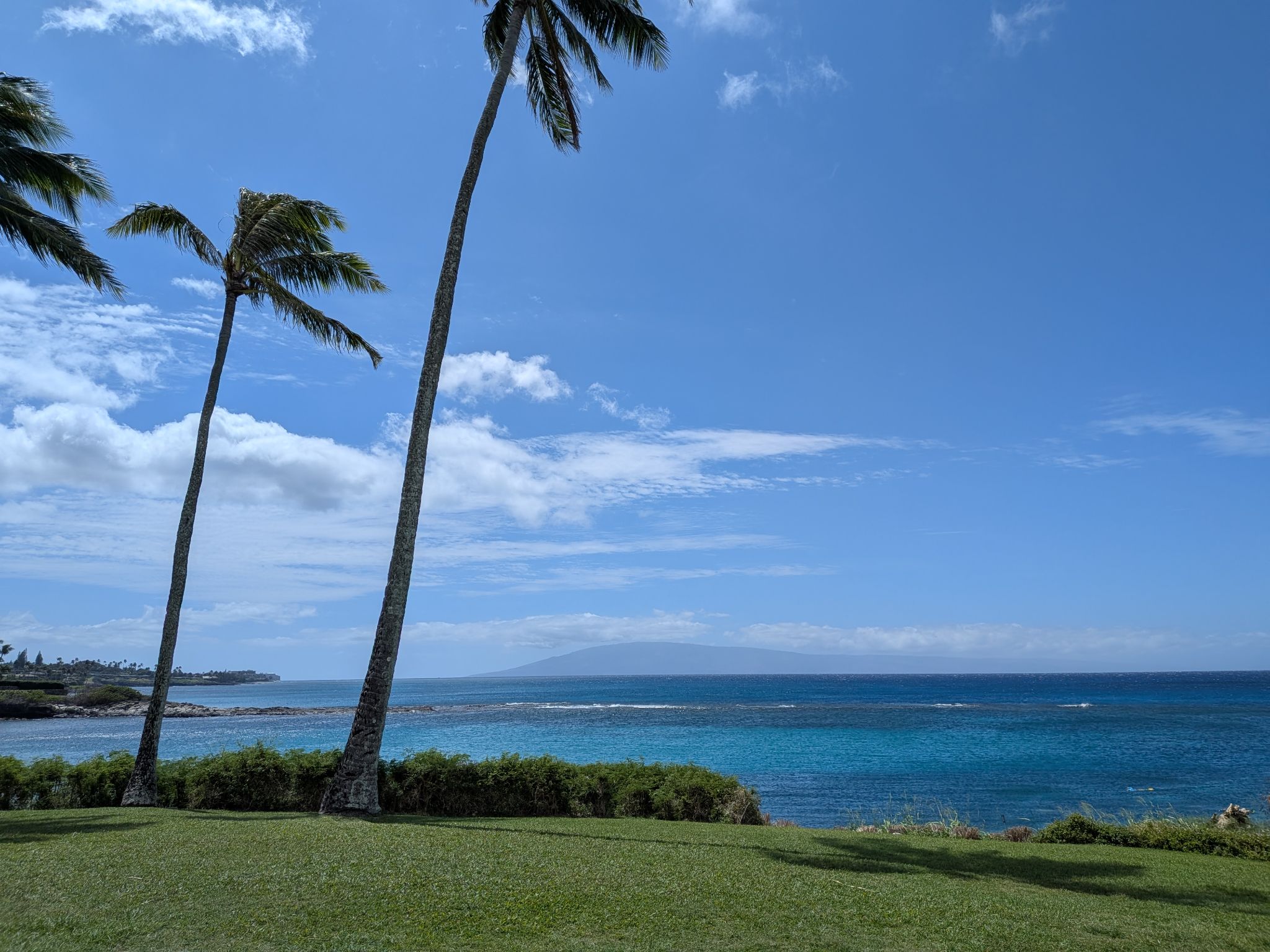 PXL 20260307 223422139