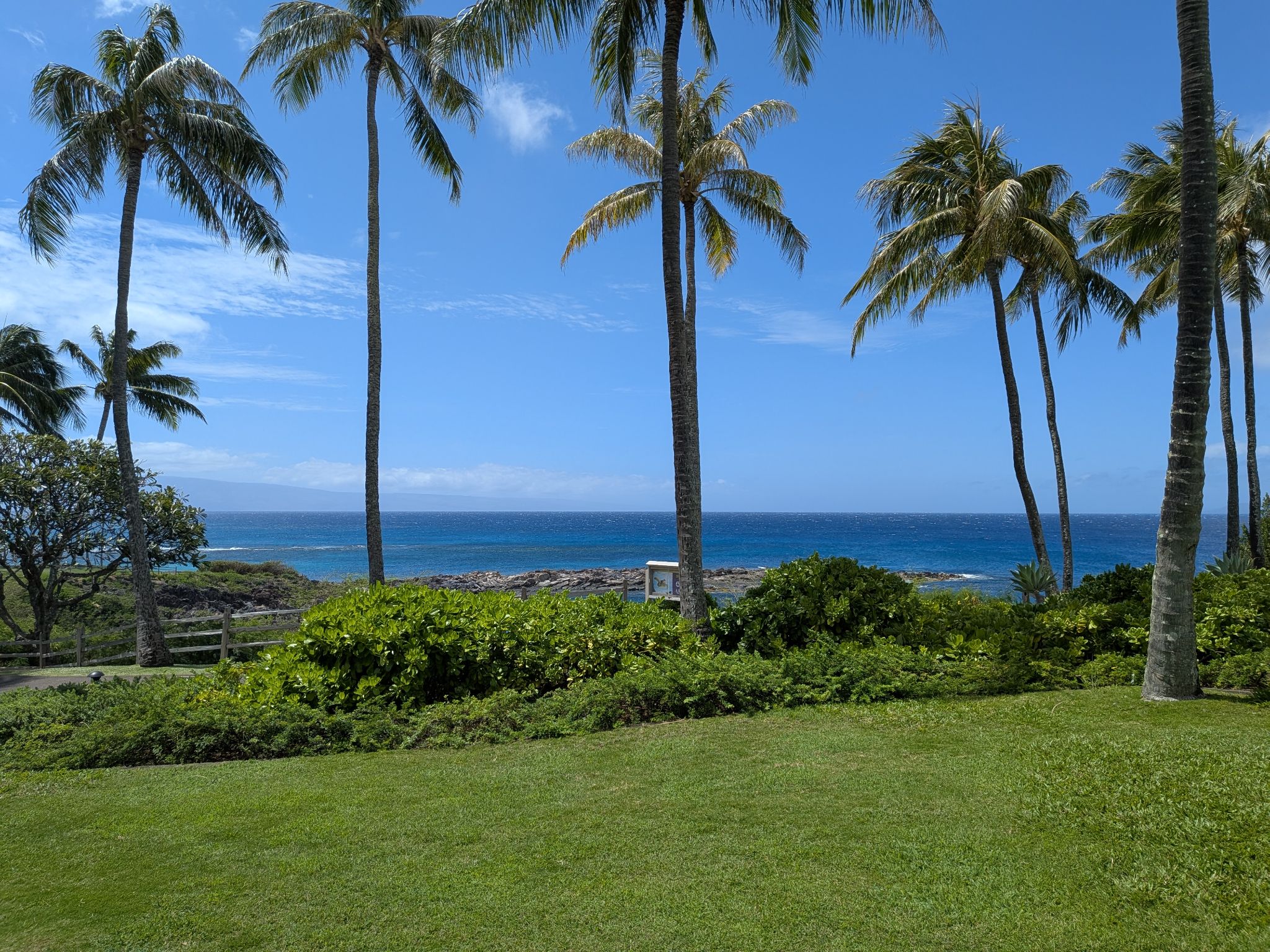 PXL 20260307 223722834