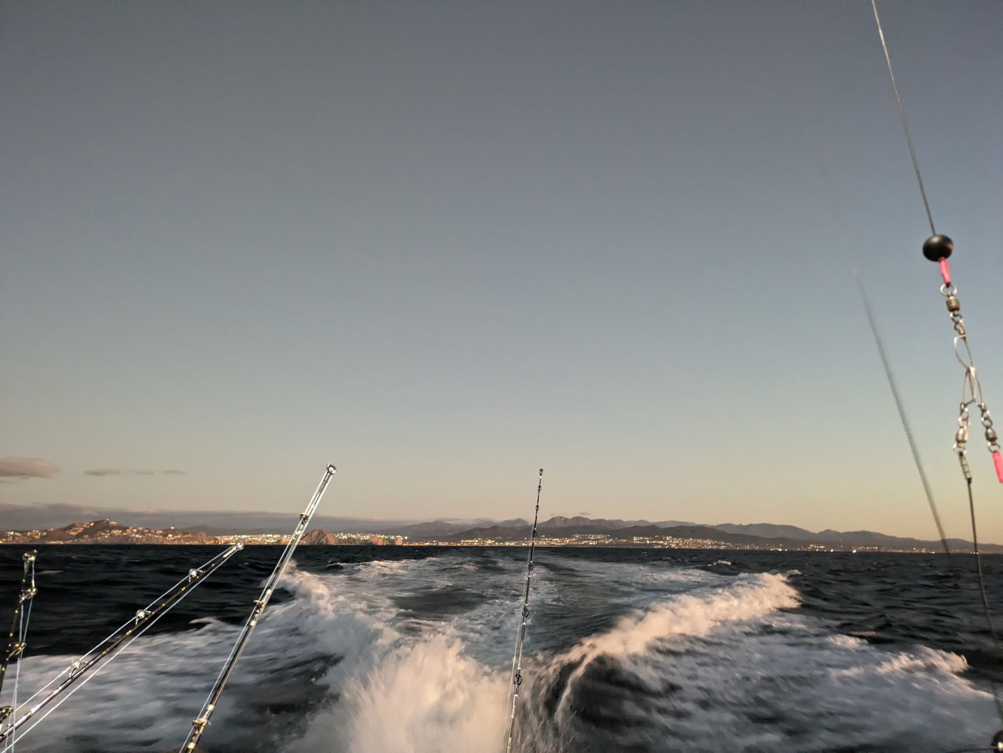 PXL 20240202 133302841