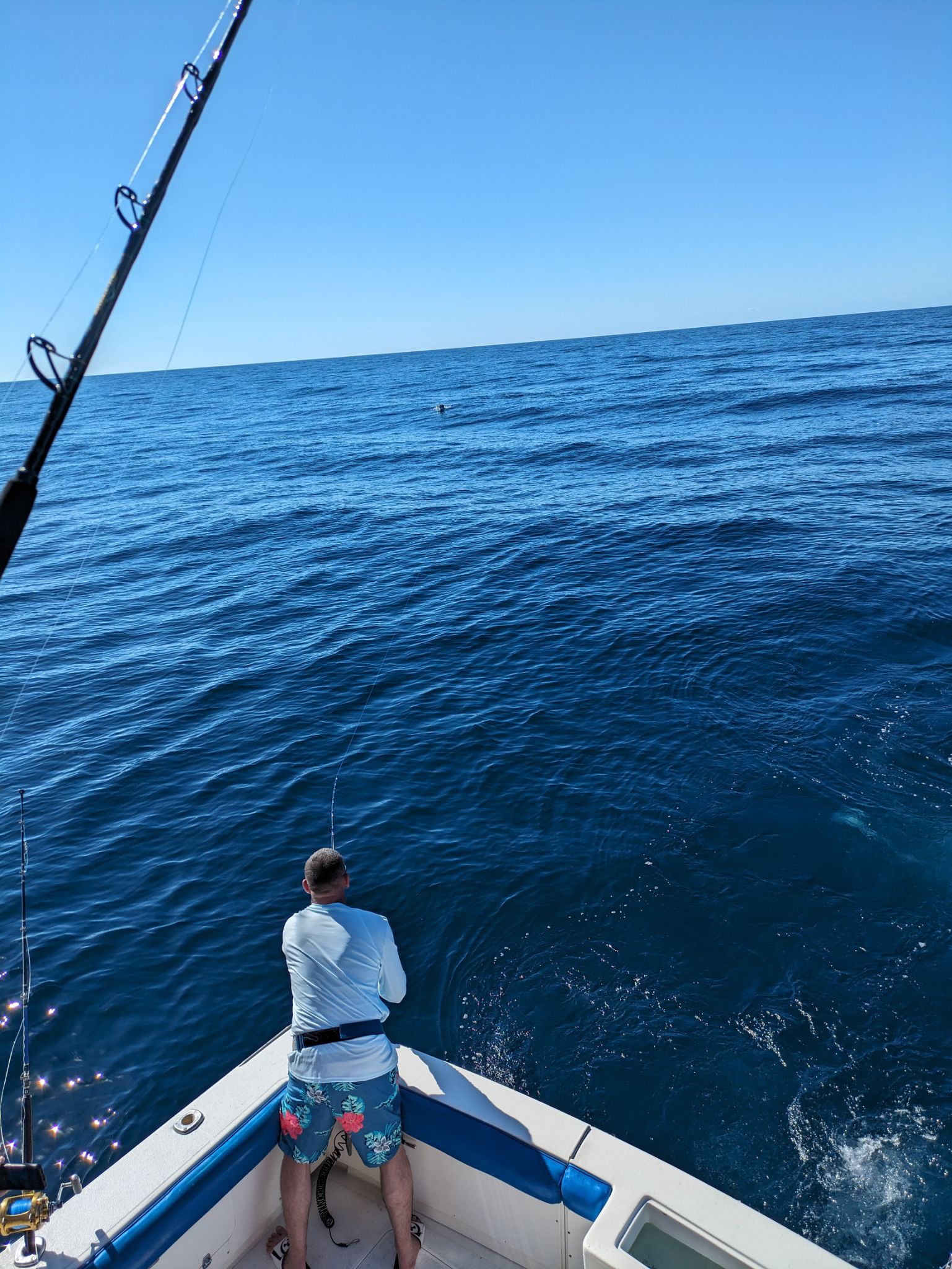 PXL 20240202 174757189