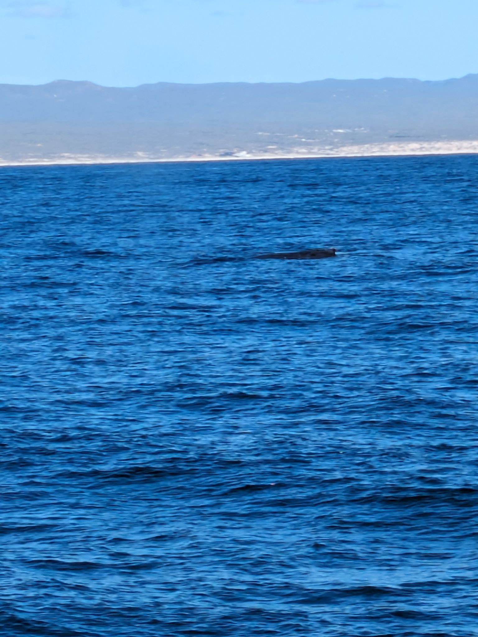 PXL 20240203 175054303