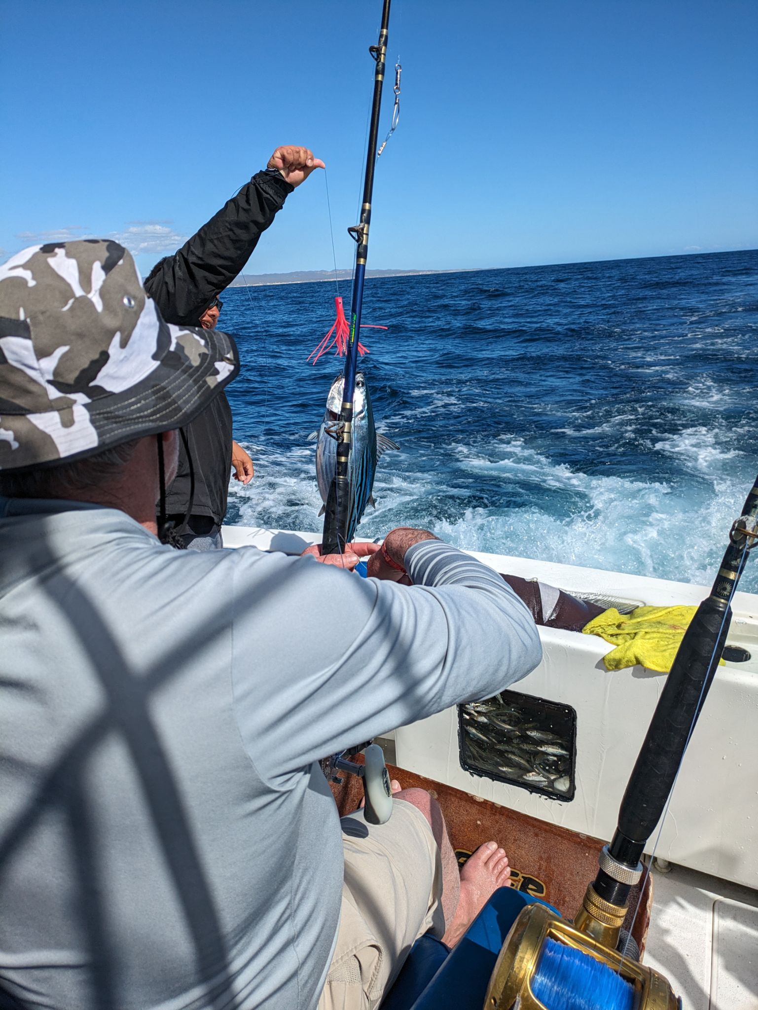 PXL 20240203 182929657