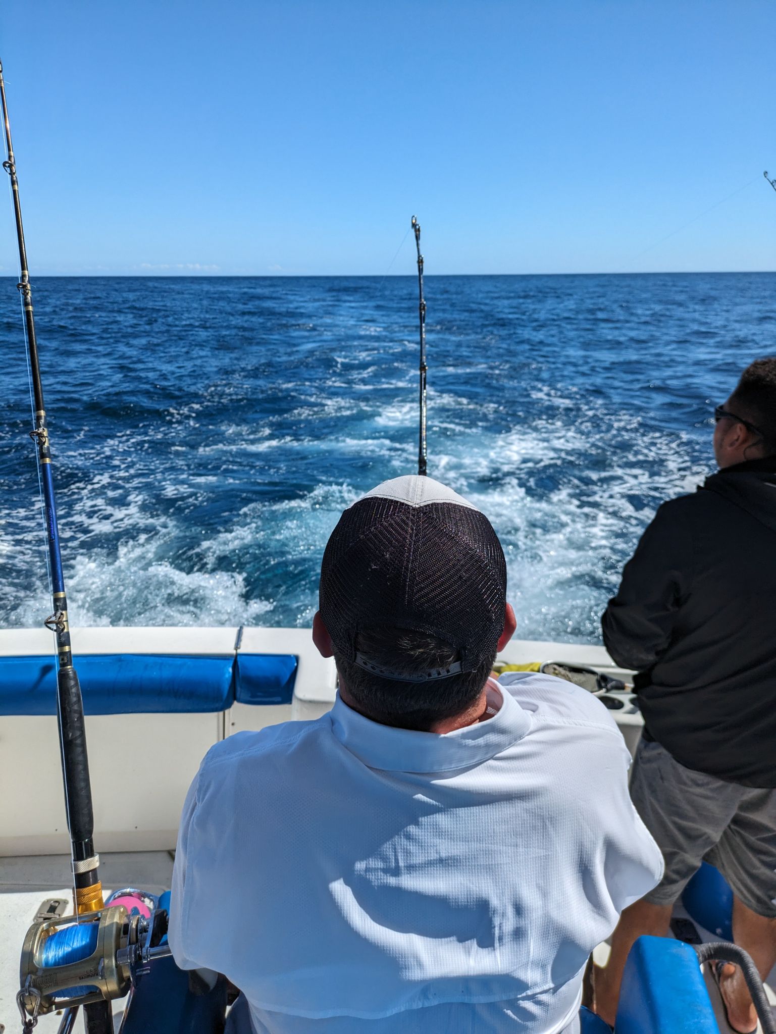 PXL 20240203 183500416