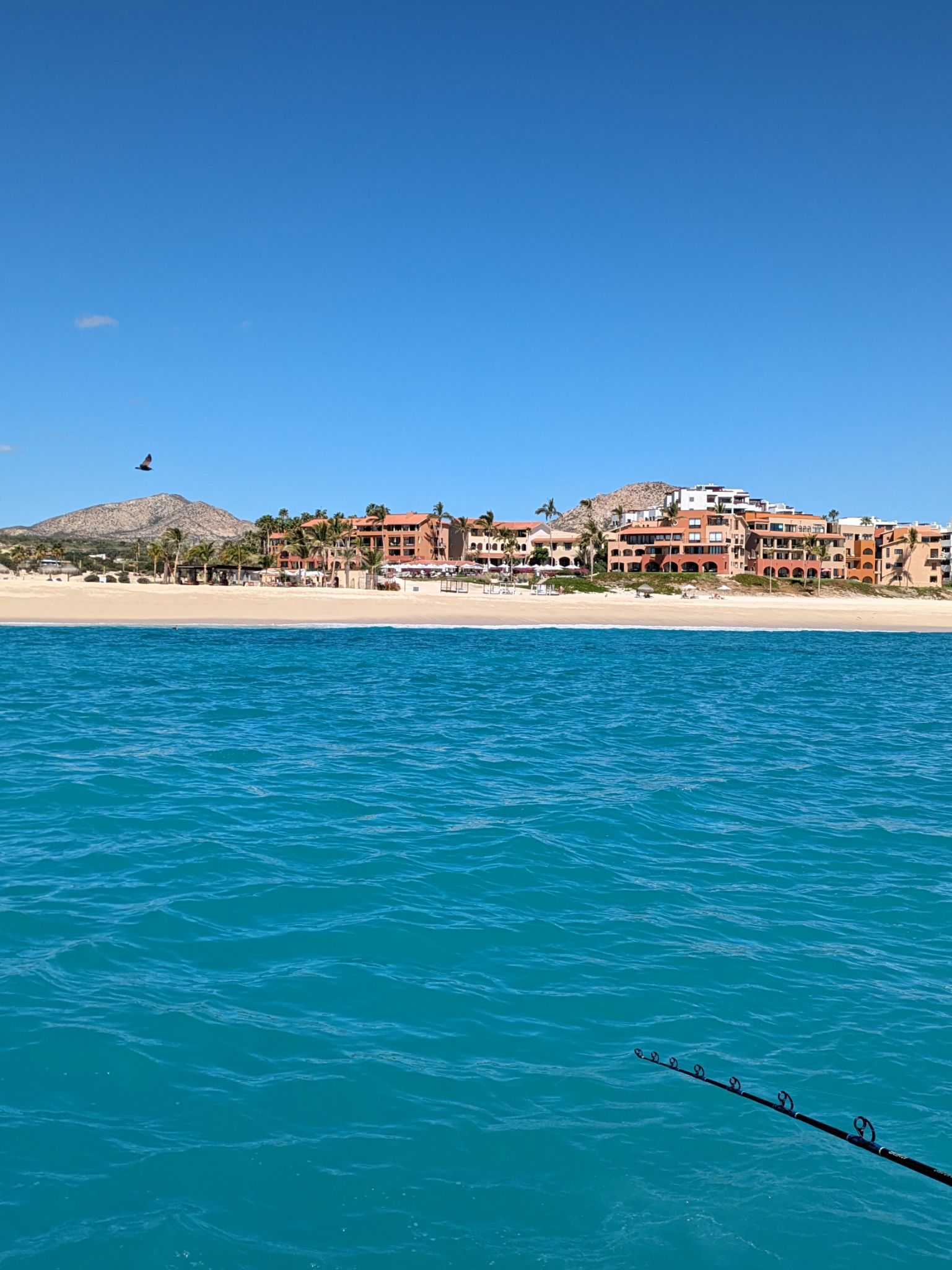 PXL 20240203 194849203