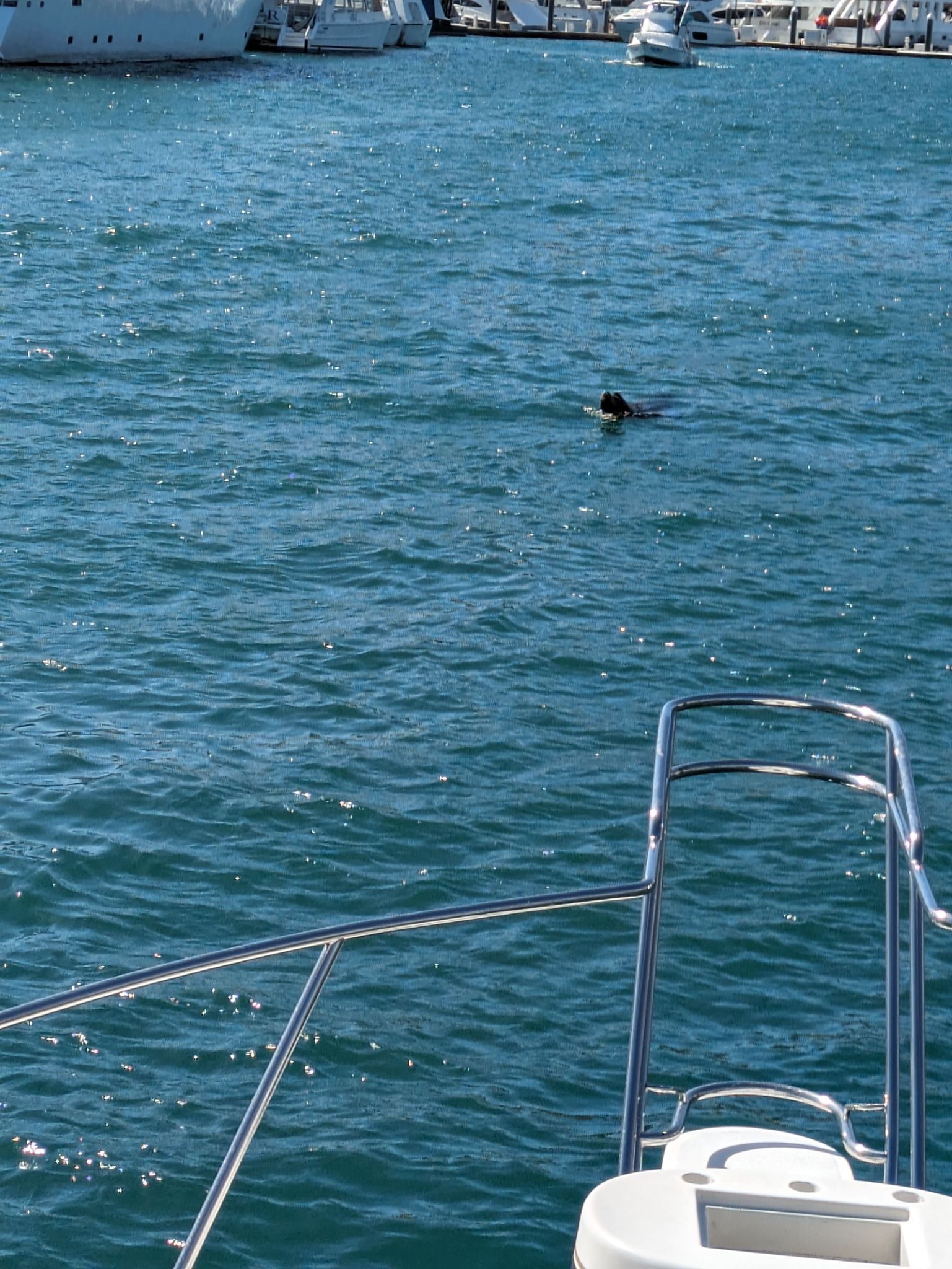 PXL 20240203 210108786