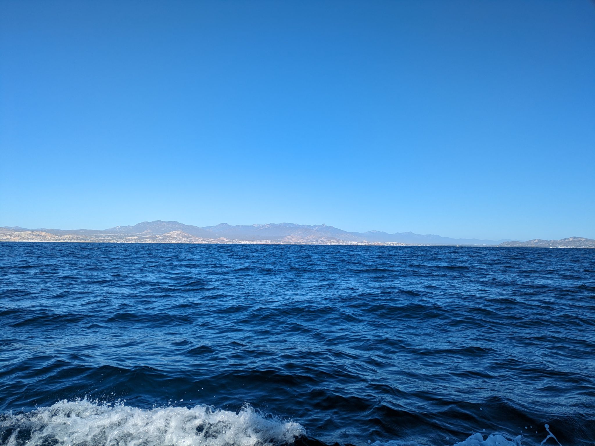 PXL 20240204 161559610