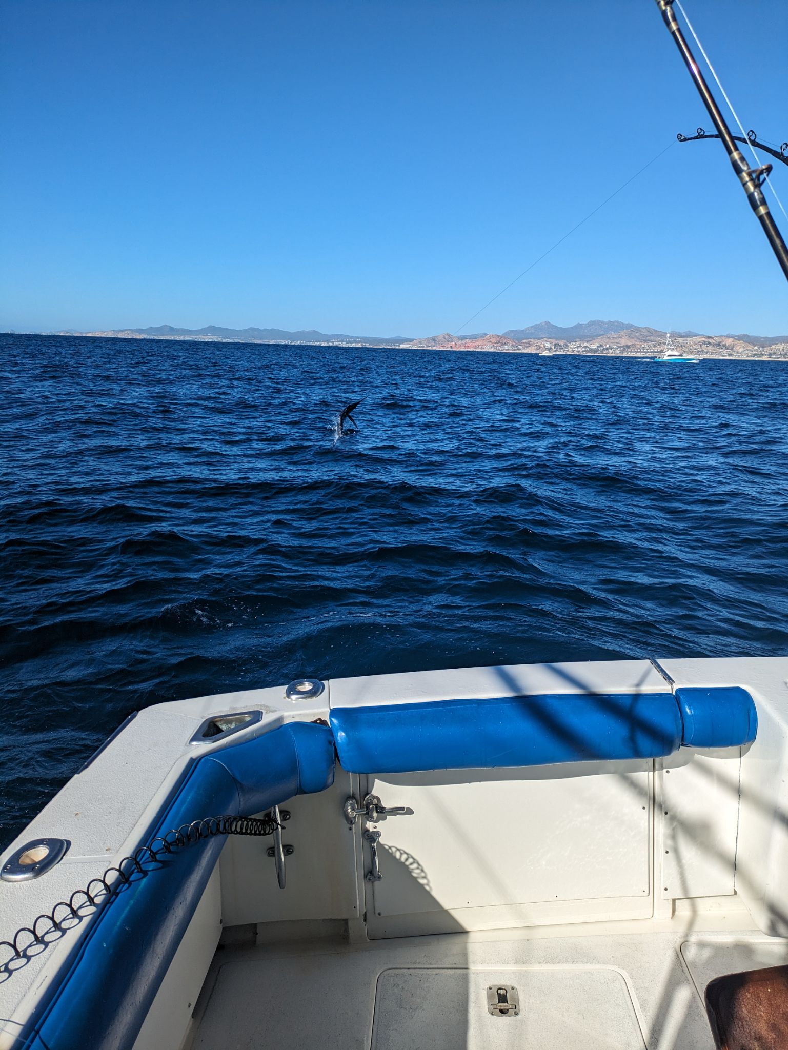 PXL 20240204 164230528