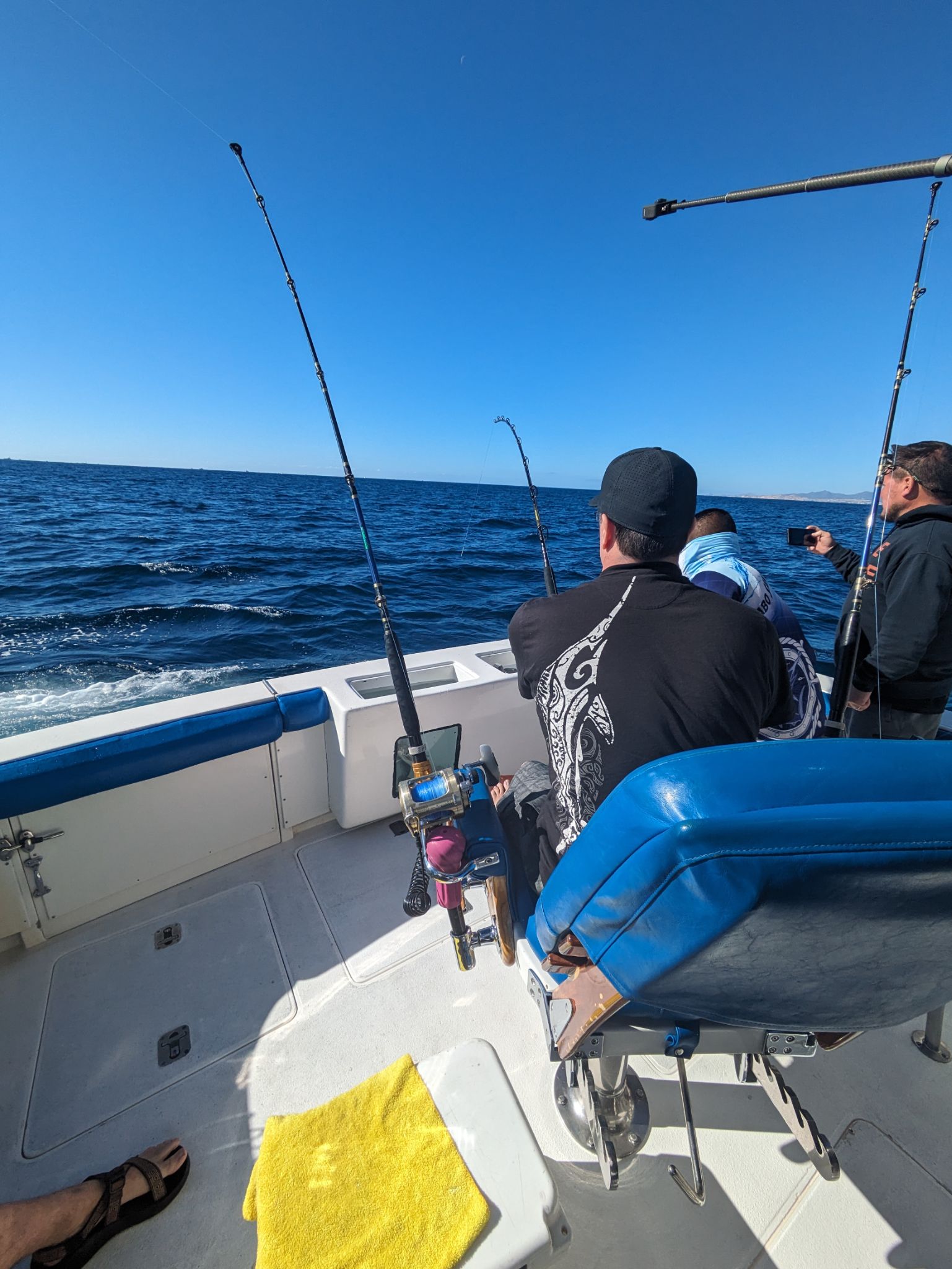 PXL 20240204 164321584