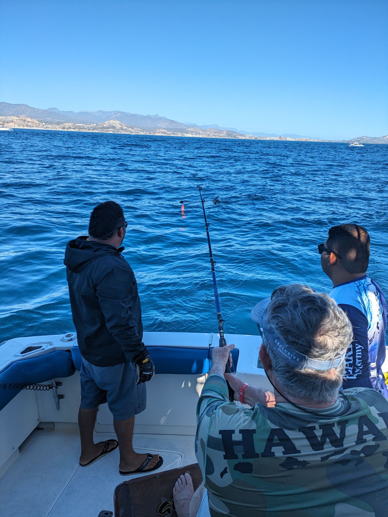 PXL 20240204 175311394