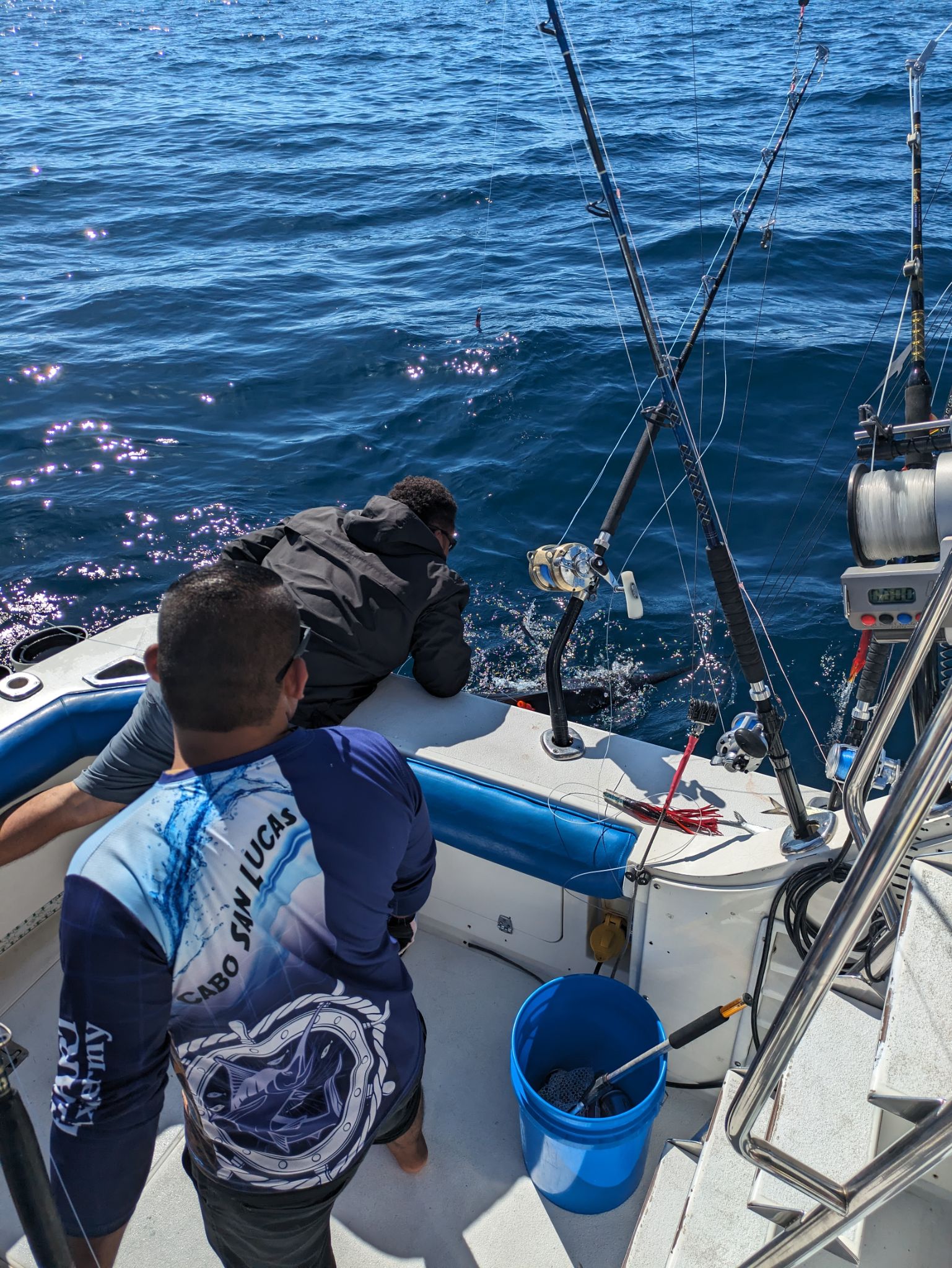 PXL 20240204 175427714