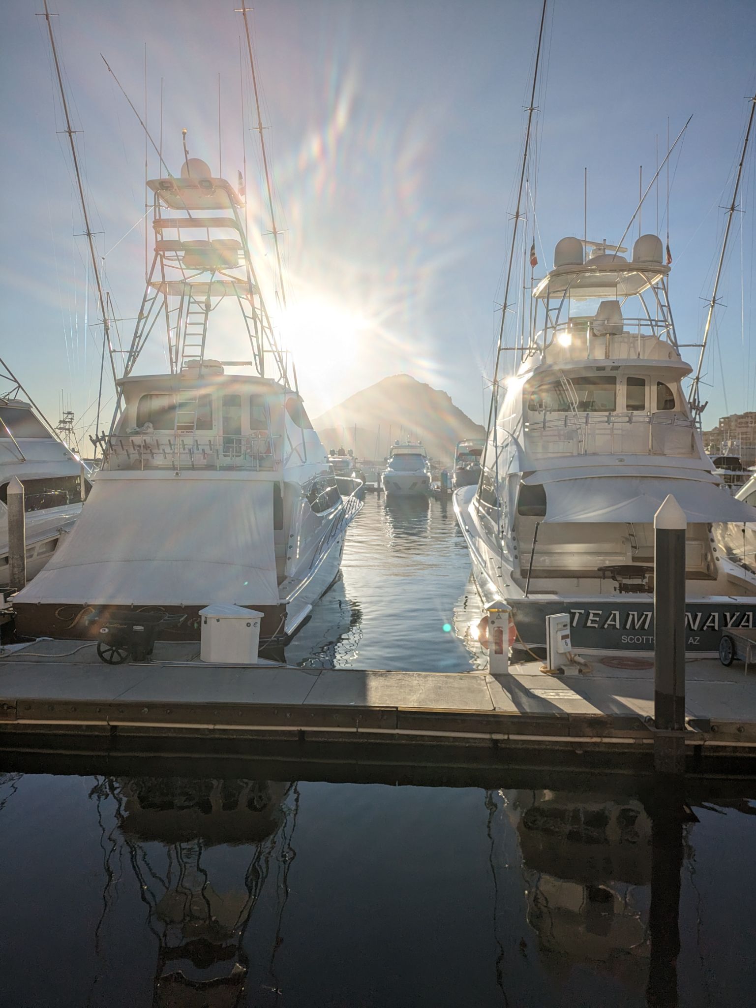 PXL 20240205 144636548