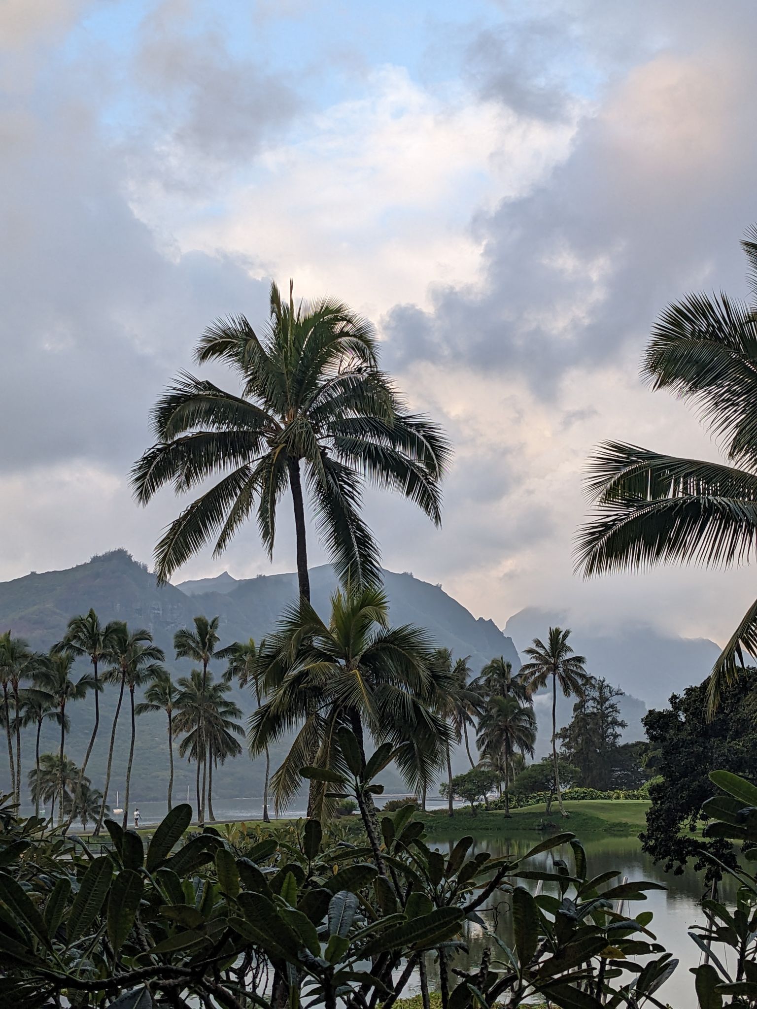 PXL 20230119 175620772