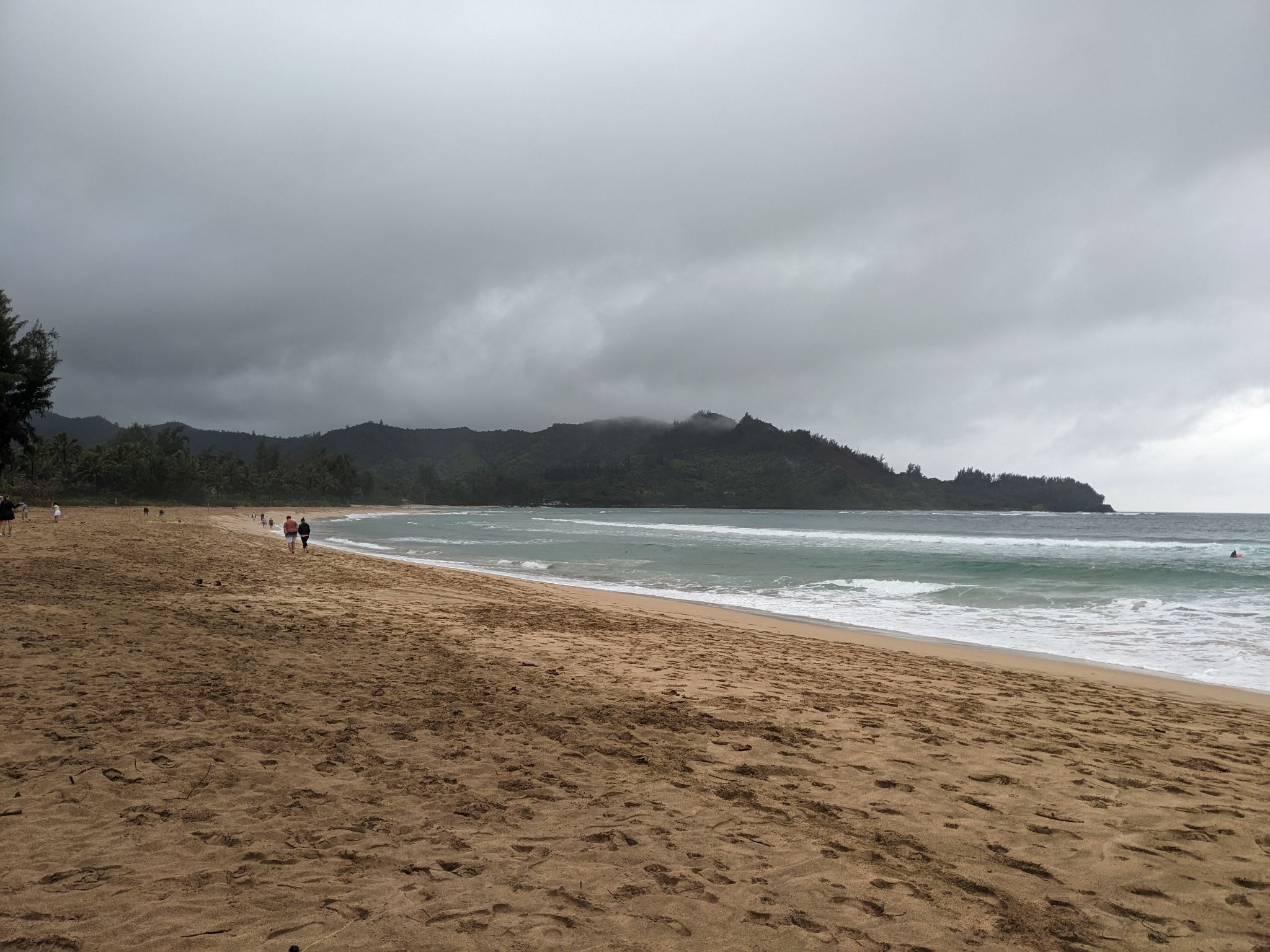 PXL 20230119 221111281