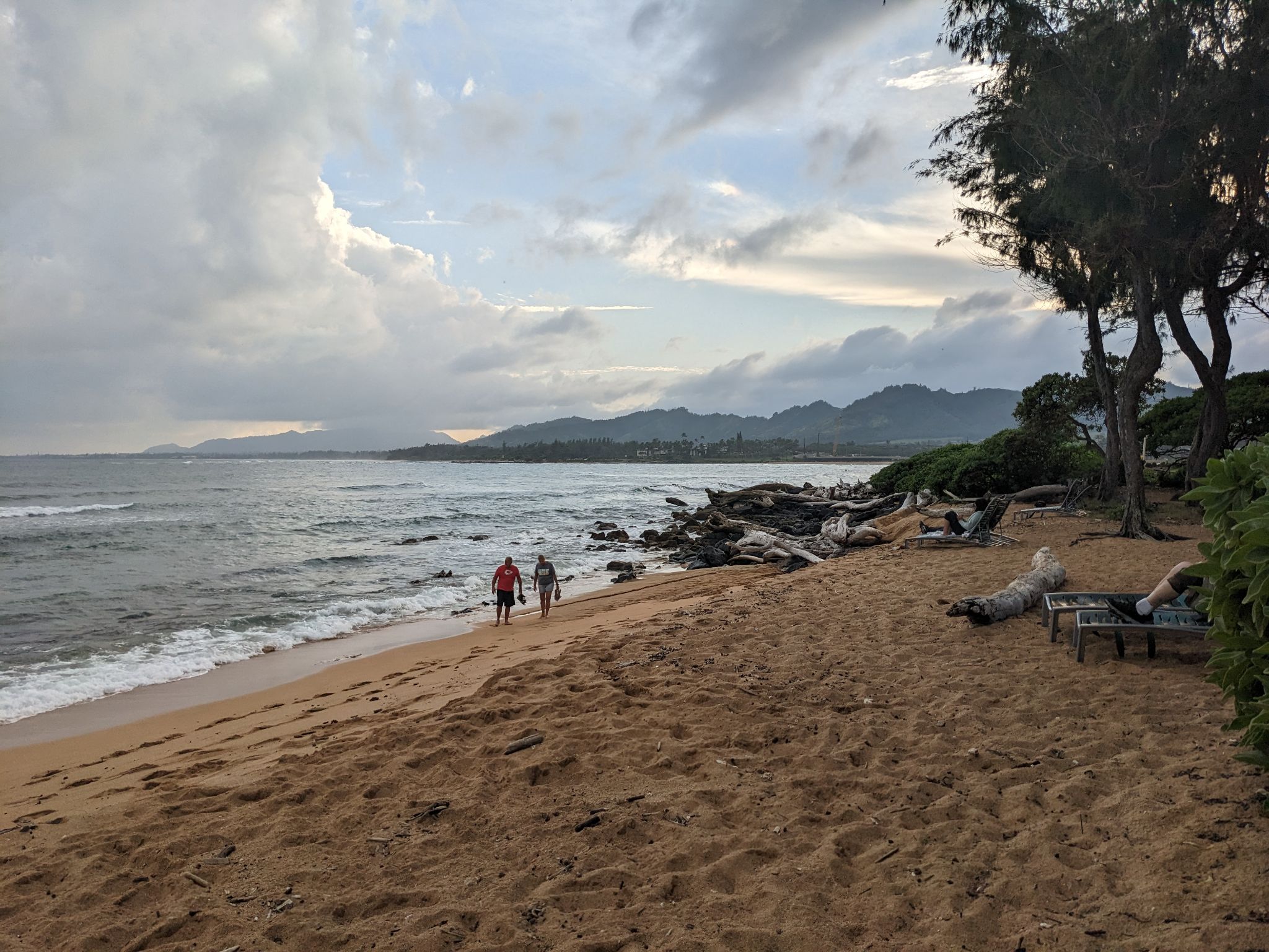 PXL 20230120 031939249