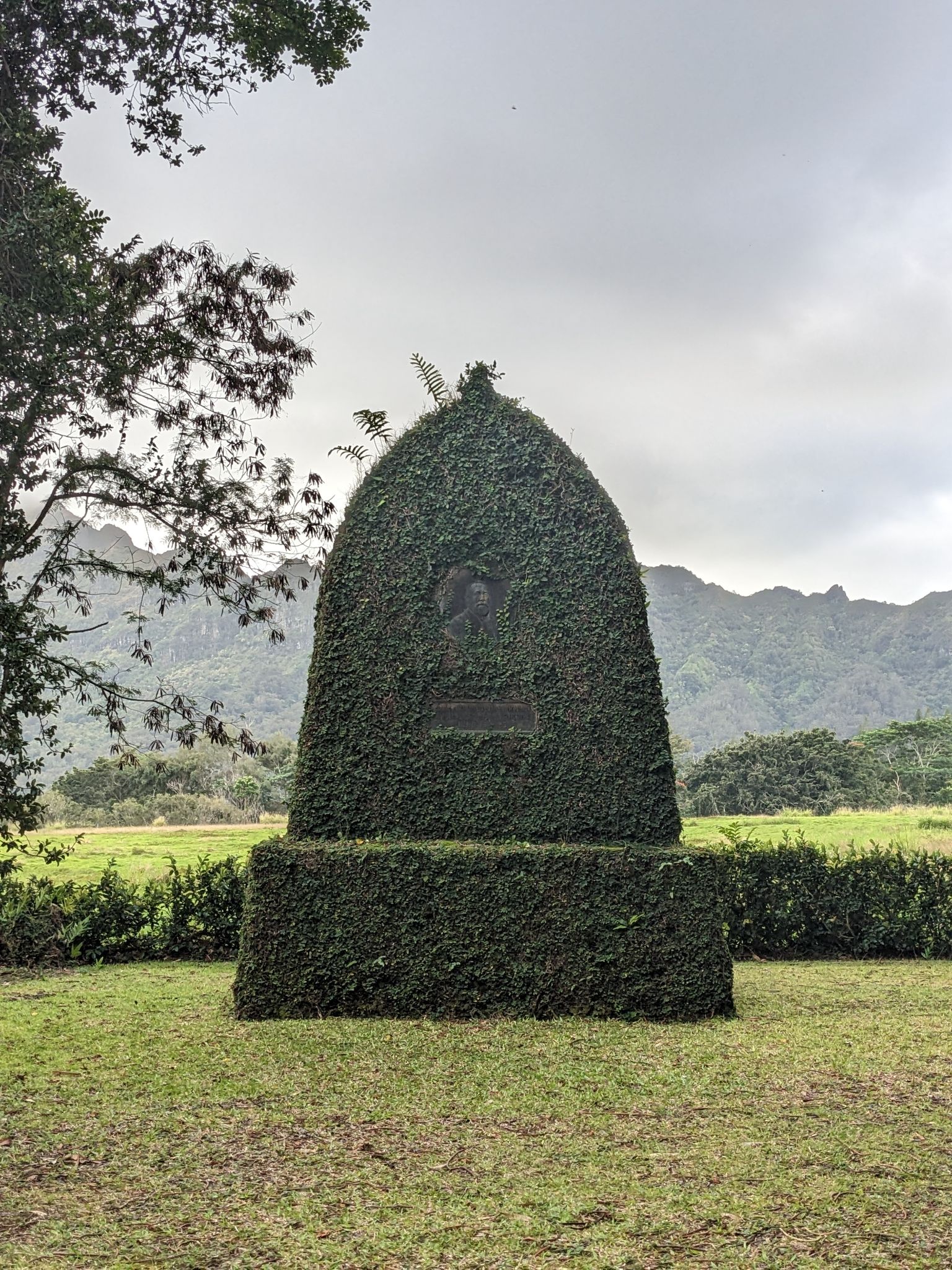 PXL 20230120 191547835