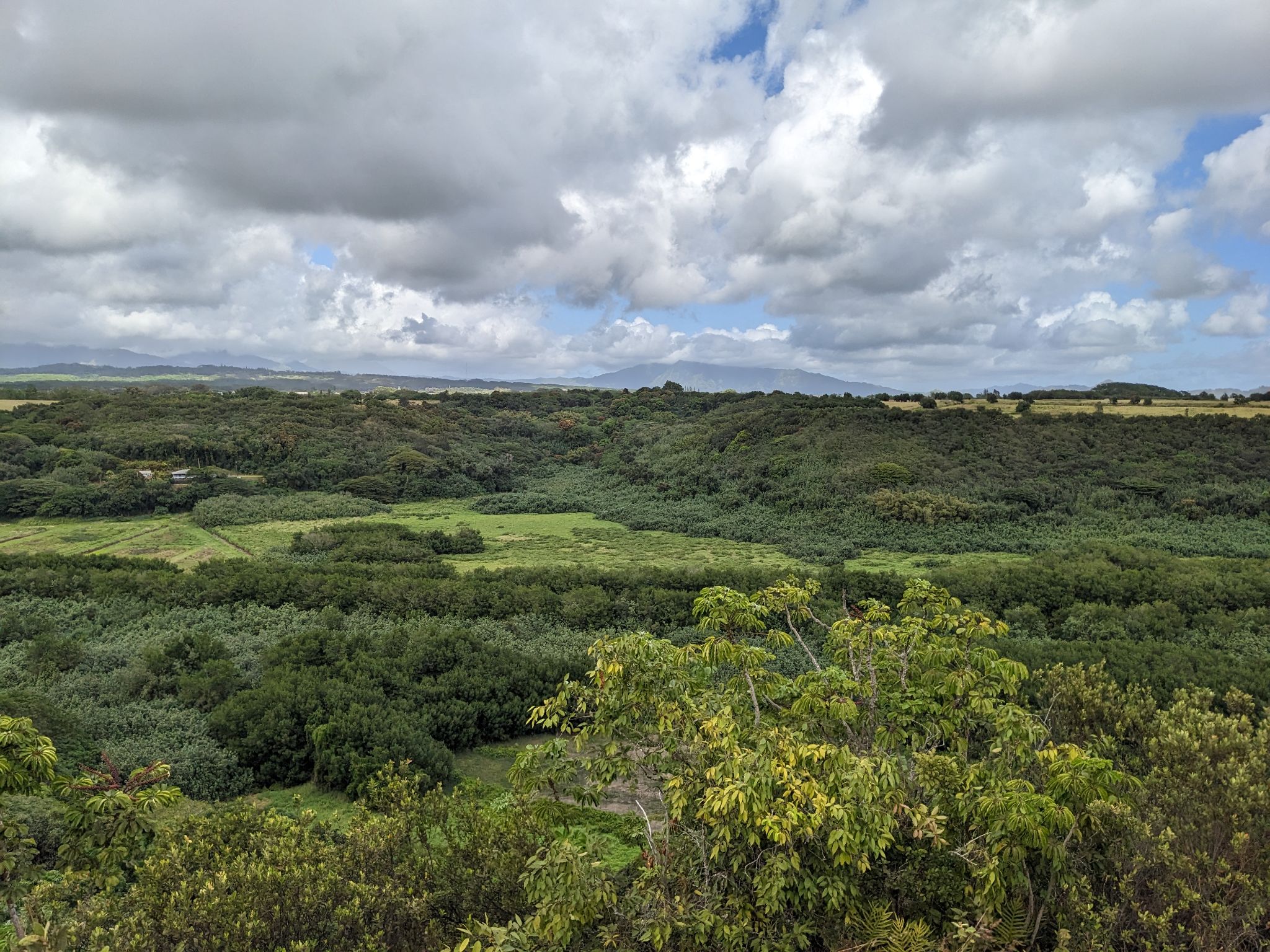 PXL 20230120 211839380