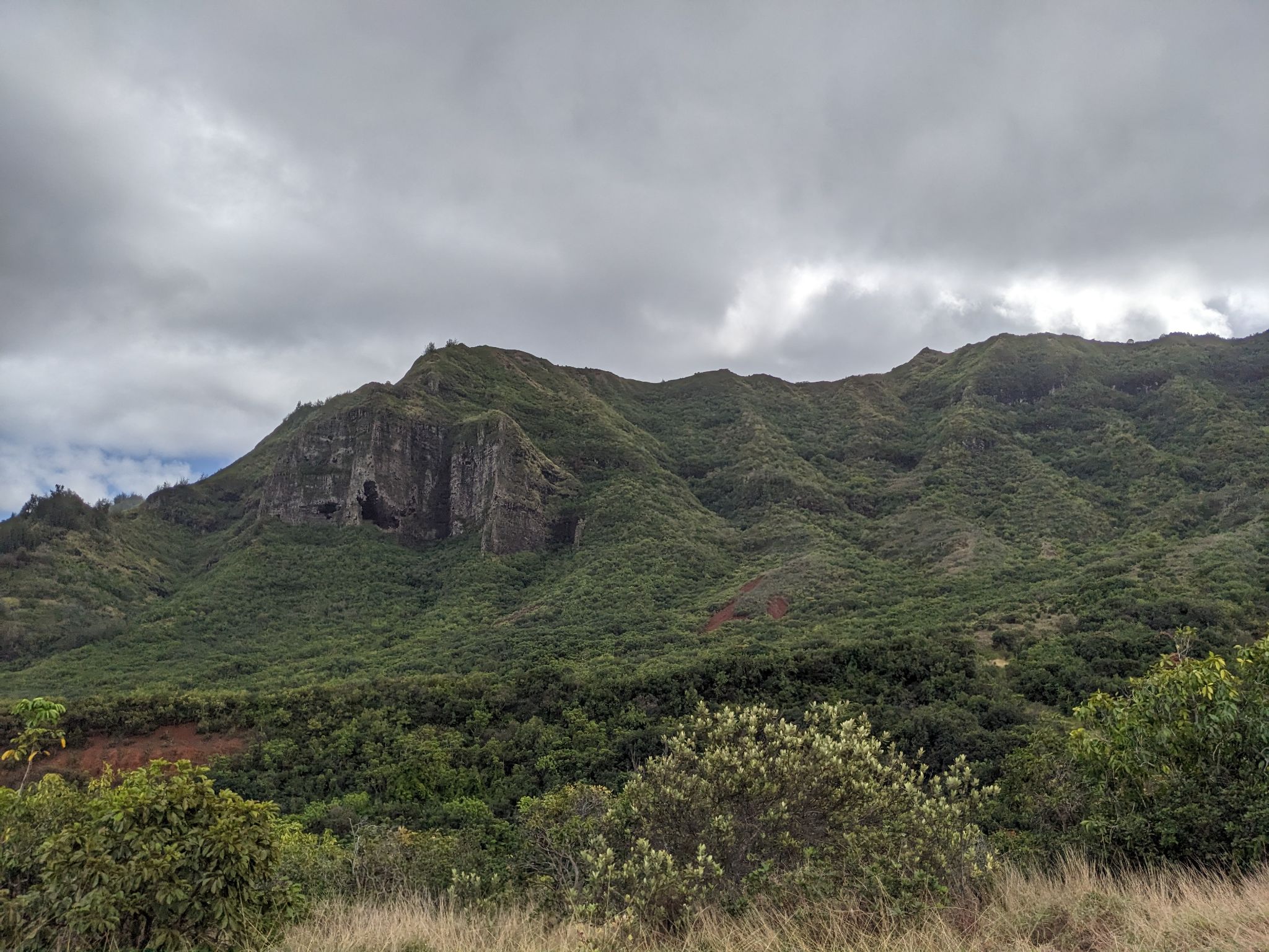 PXL 20230120 212037781