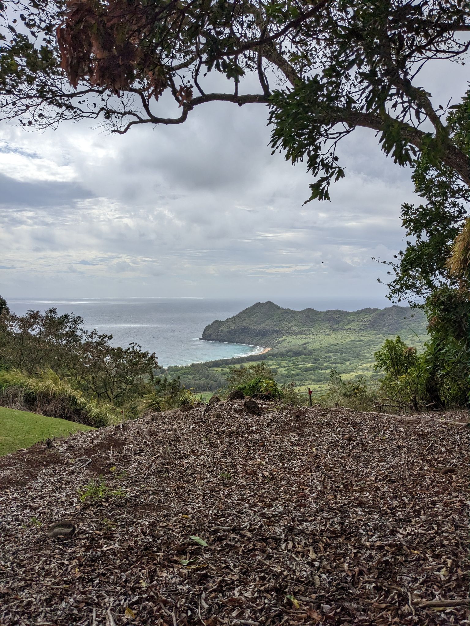 PXL 20230120 220001555