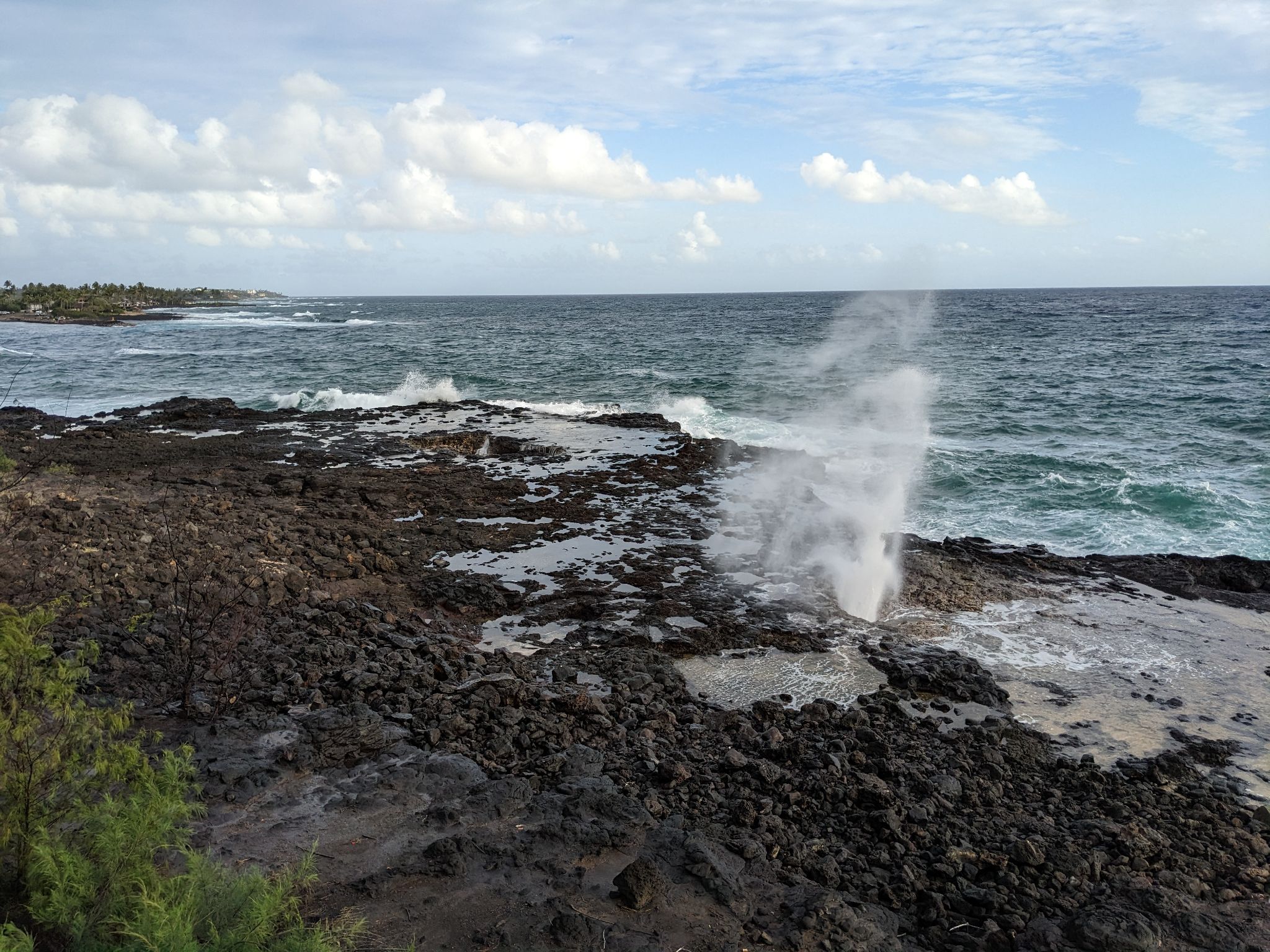 PXL 20230121 030414521