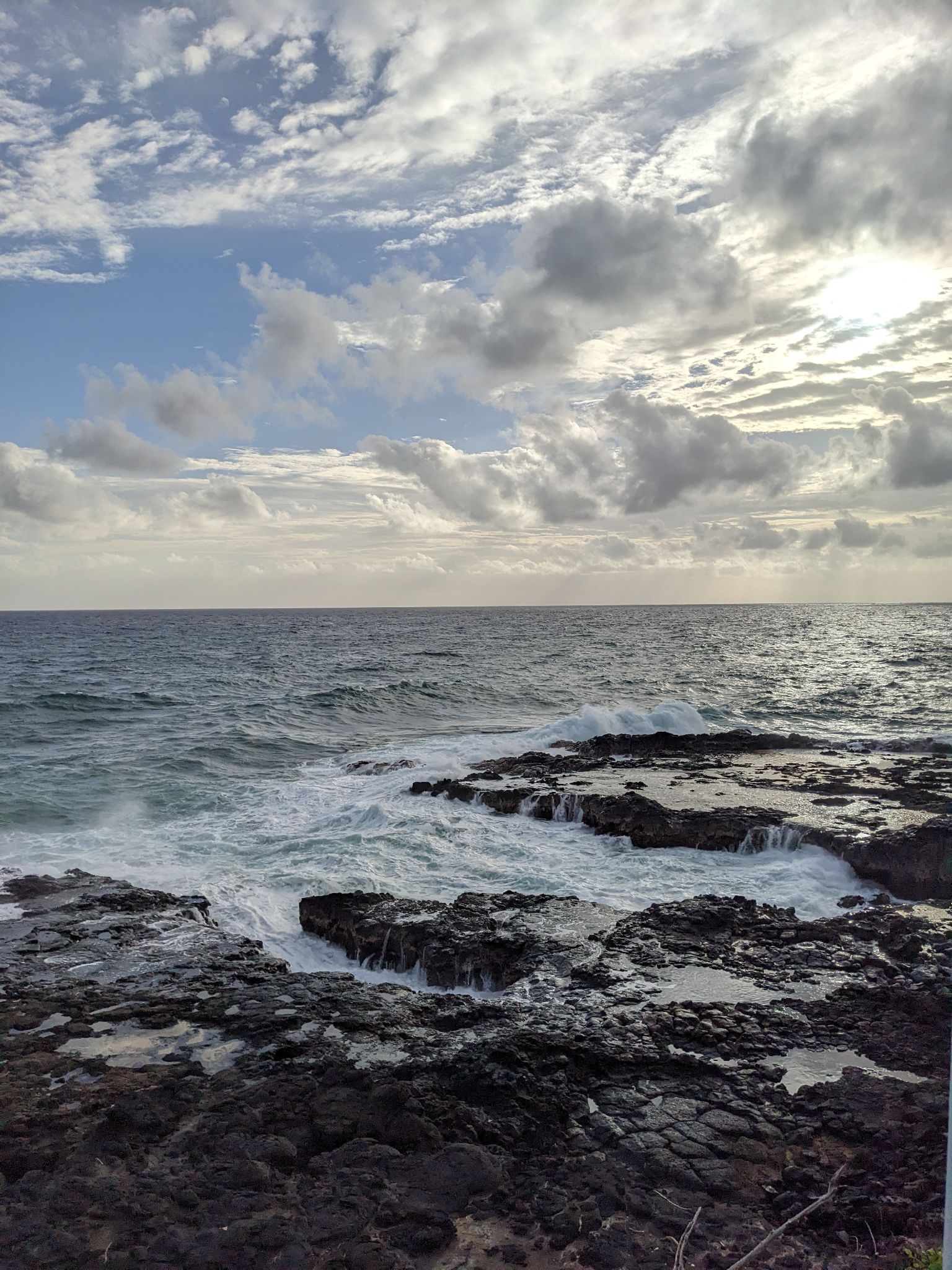 PXL 20230121 030440249