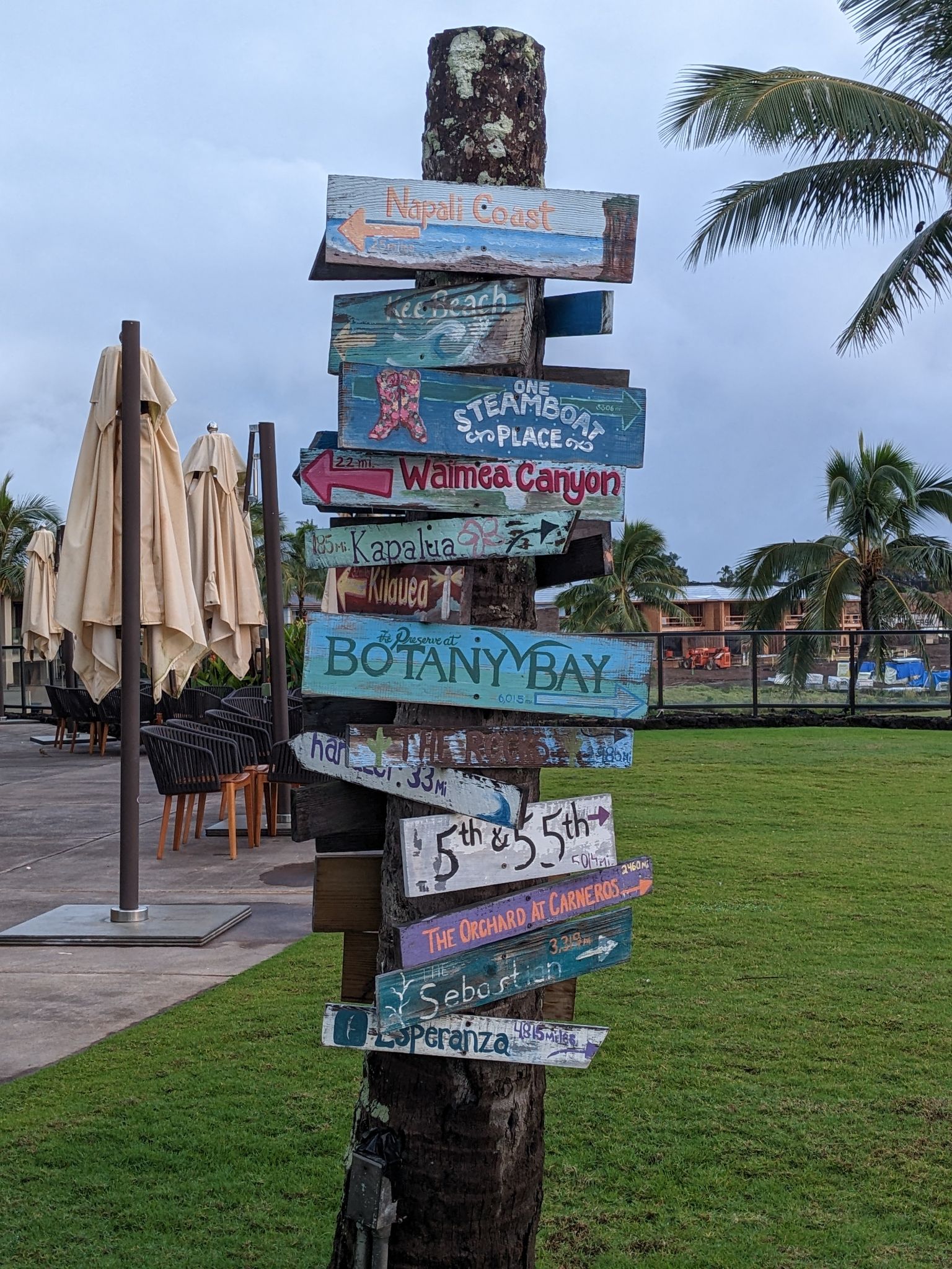 PXL 20230122 172453572