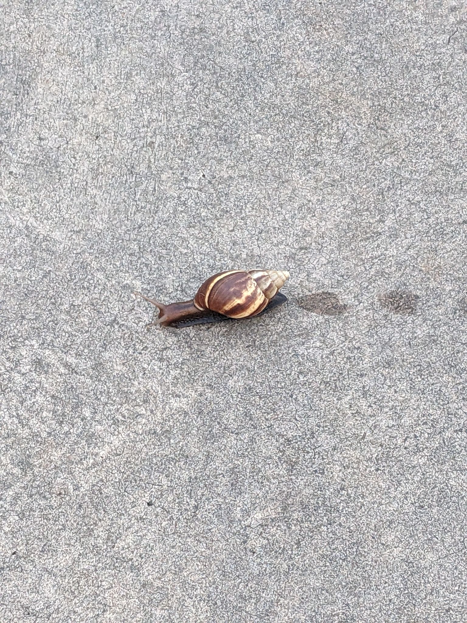 PXL 20230122 172630956.MP