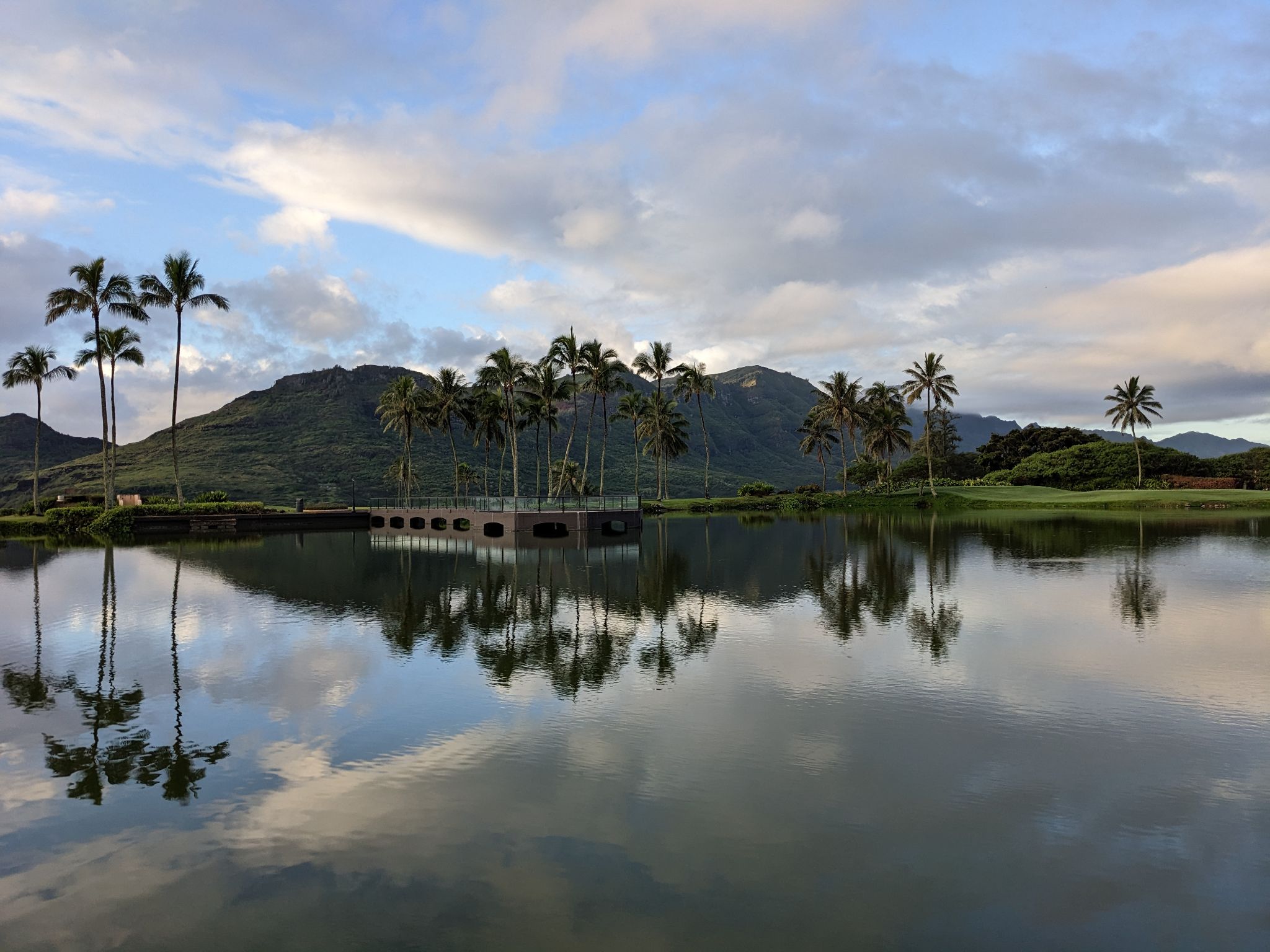 PXL 20230122 175402298