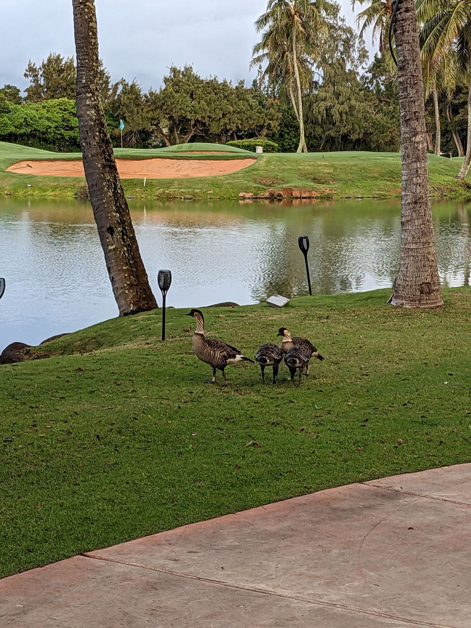 PXL 20230122 175424235