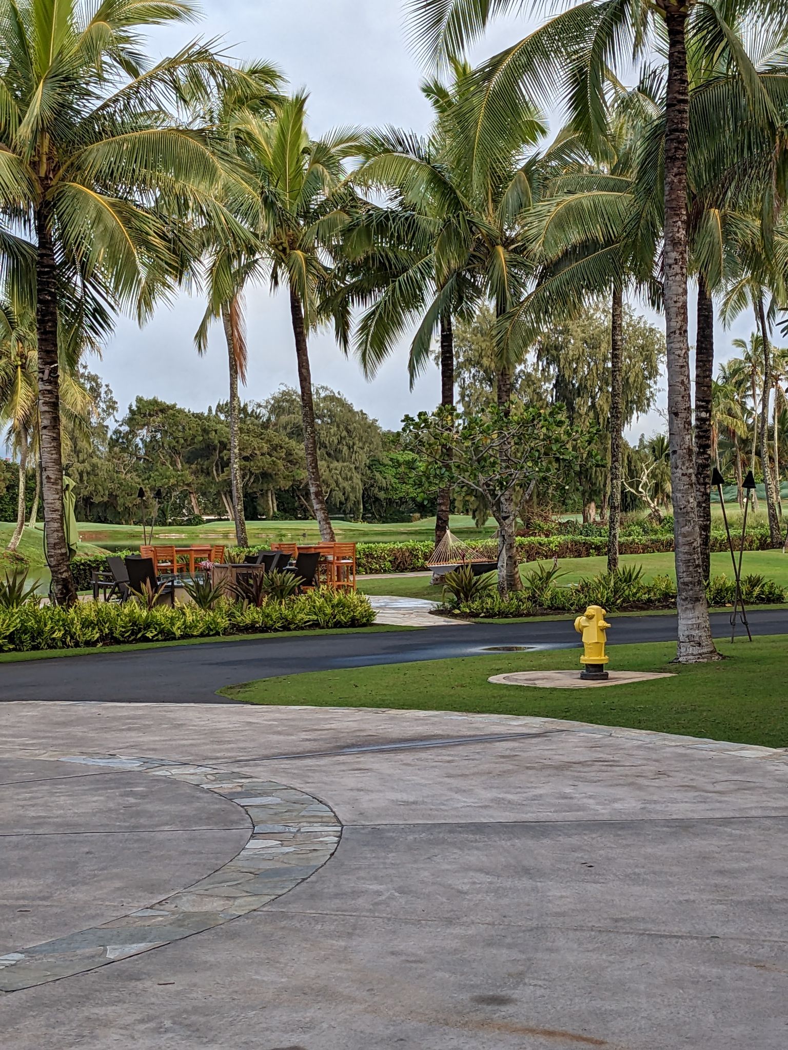 PXL 20230122 175510851