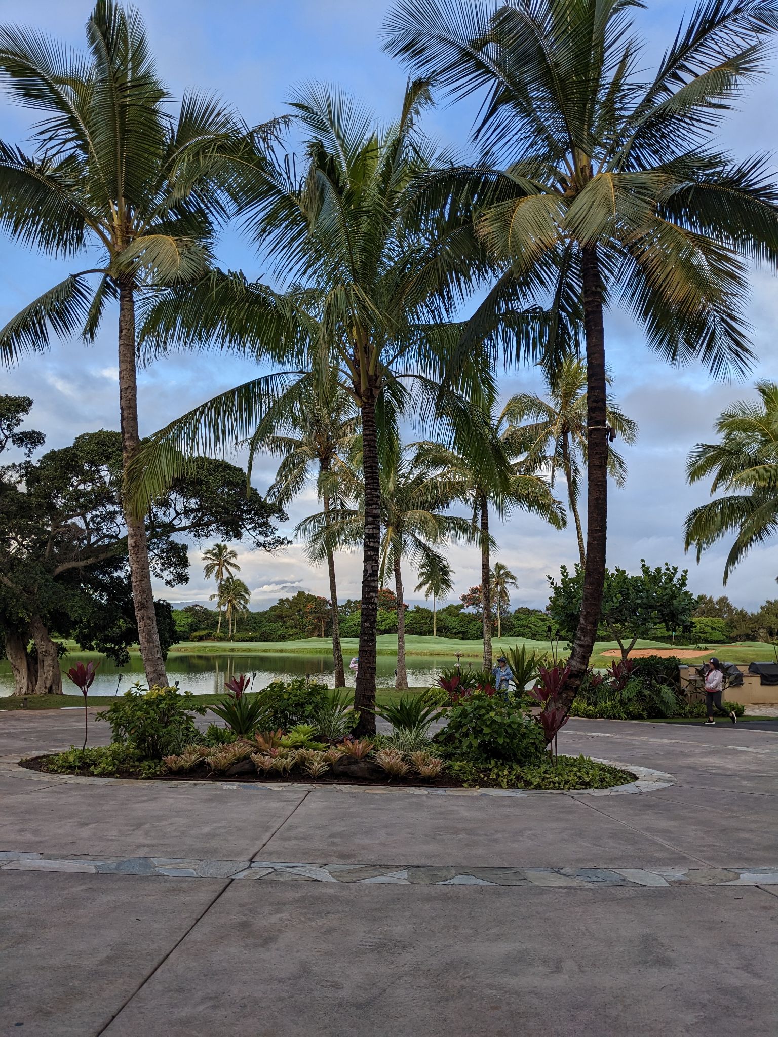 PXL 20230122 175548575