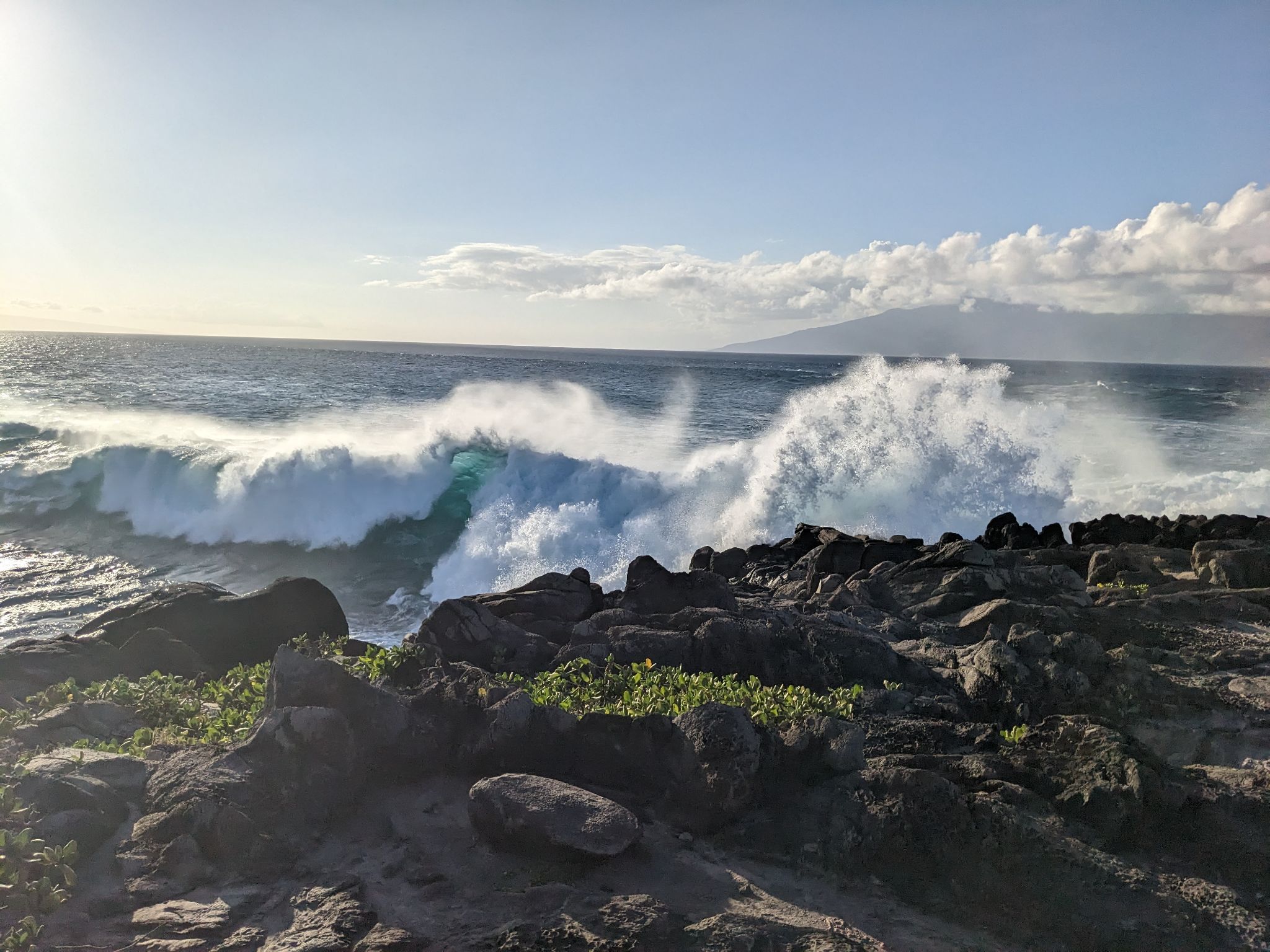 PXL 20230123 025859599