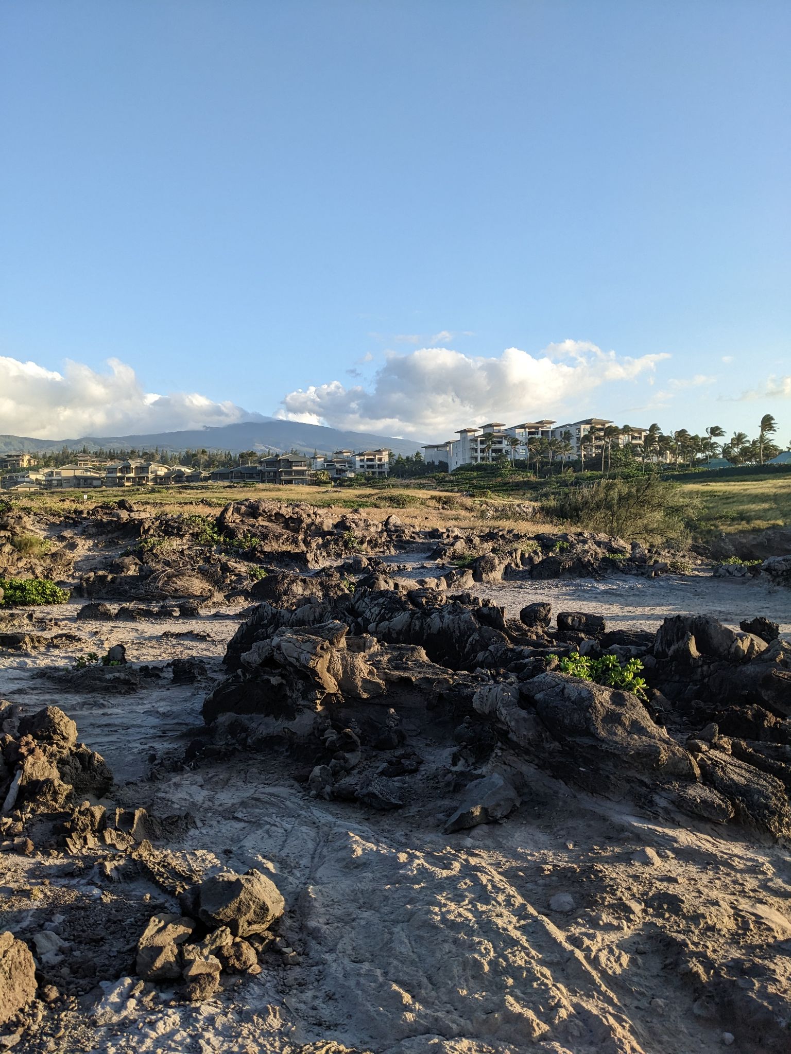 PXL 20230123 032726276