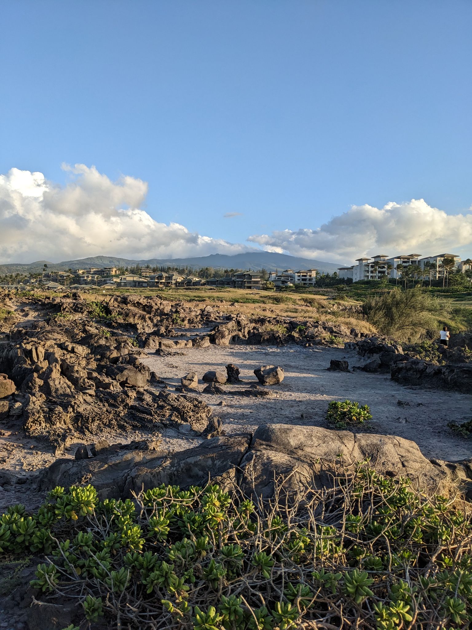 PXL 20230123 033021066