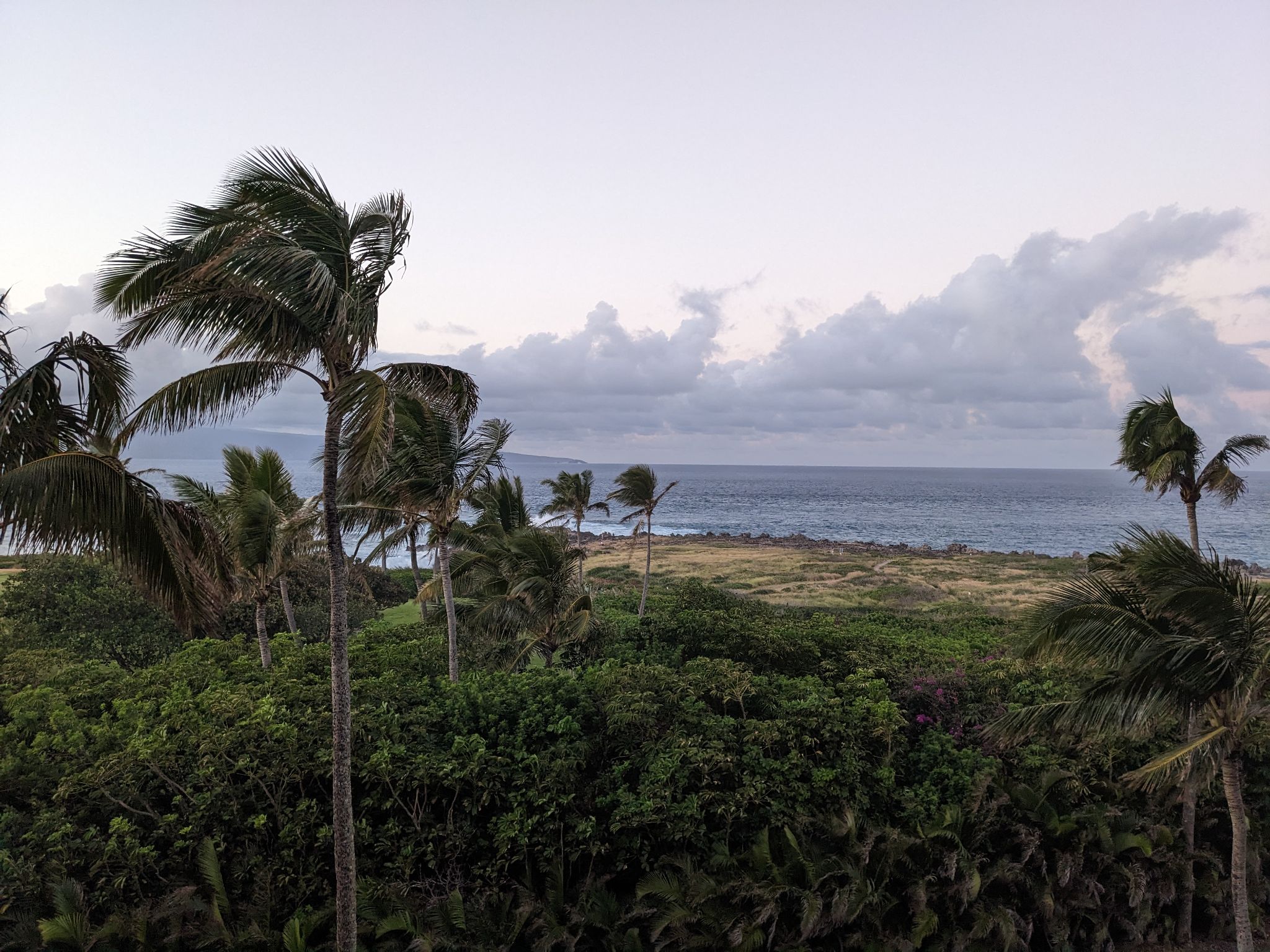 PXL 20230123 041540093