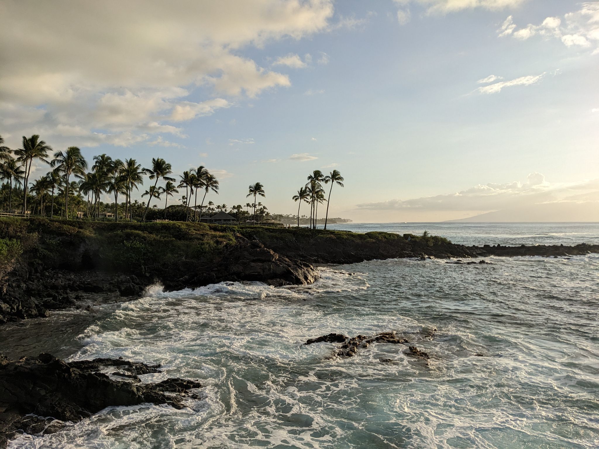 PXL 20230124 033232349